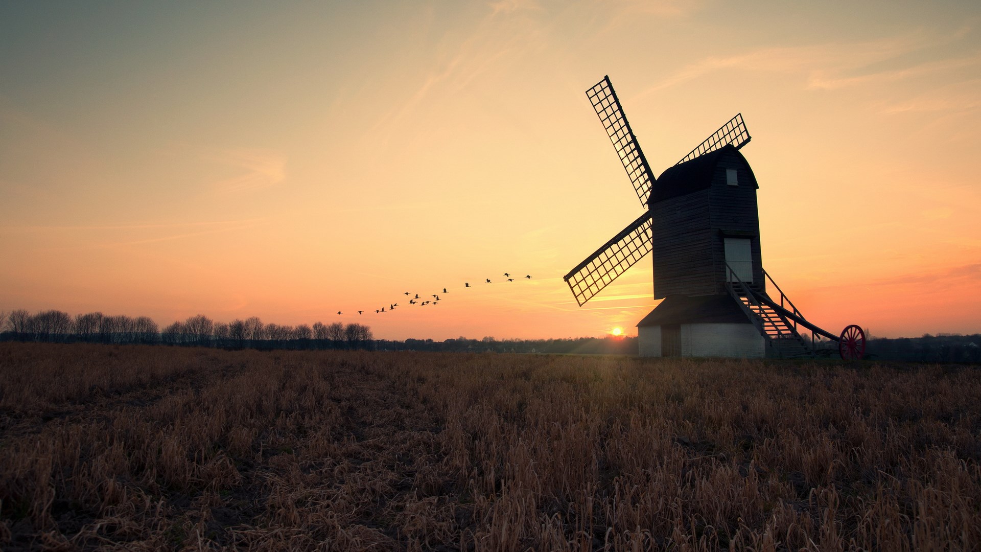 Windmill at sunset with birds flying HD Wallpaper
