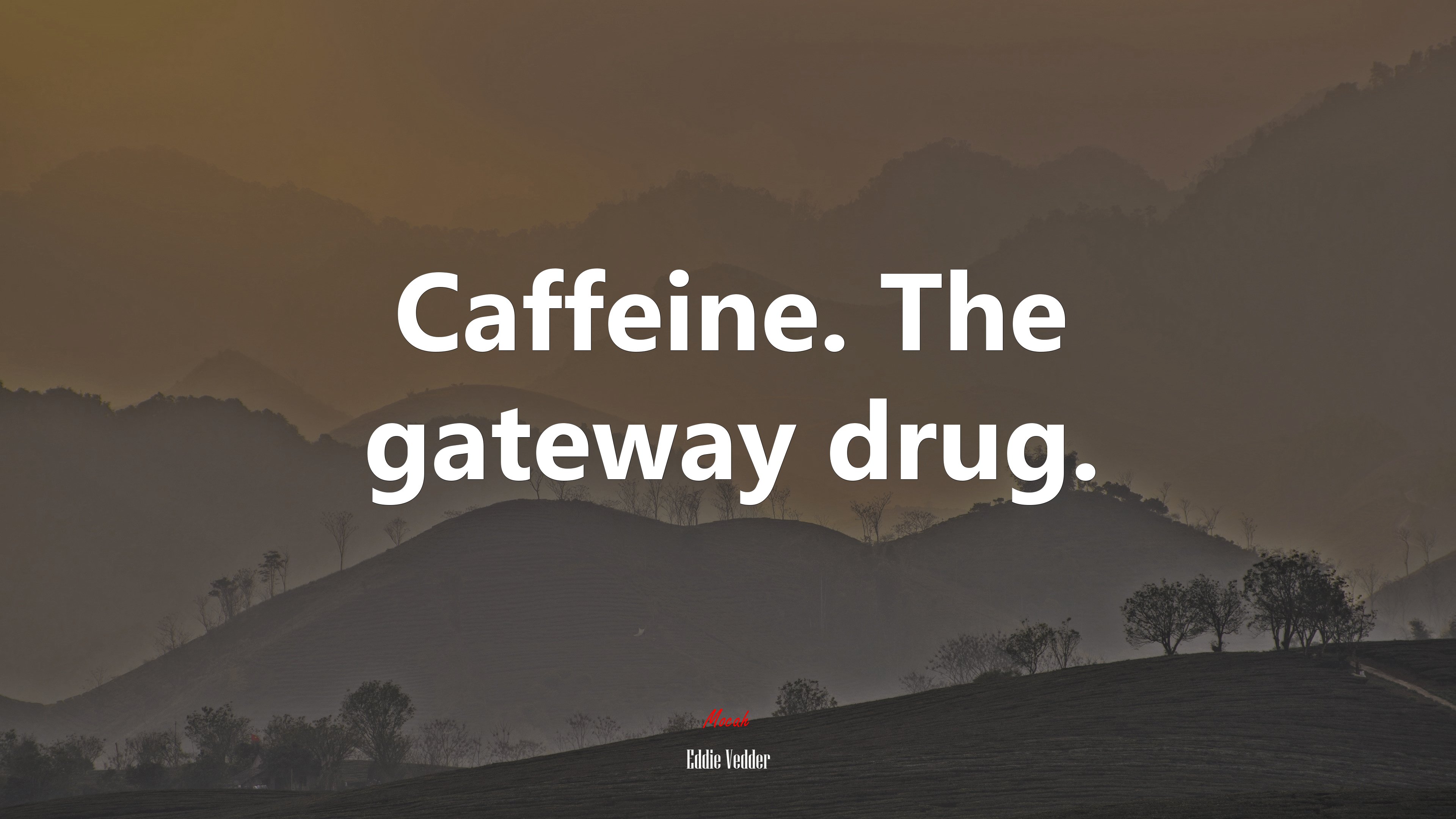 Caffeine. The gateway drug. | Eddie Vedder quote HD Wallpaper