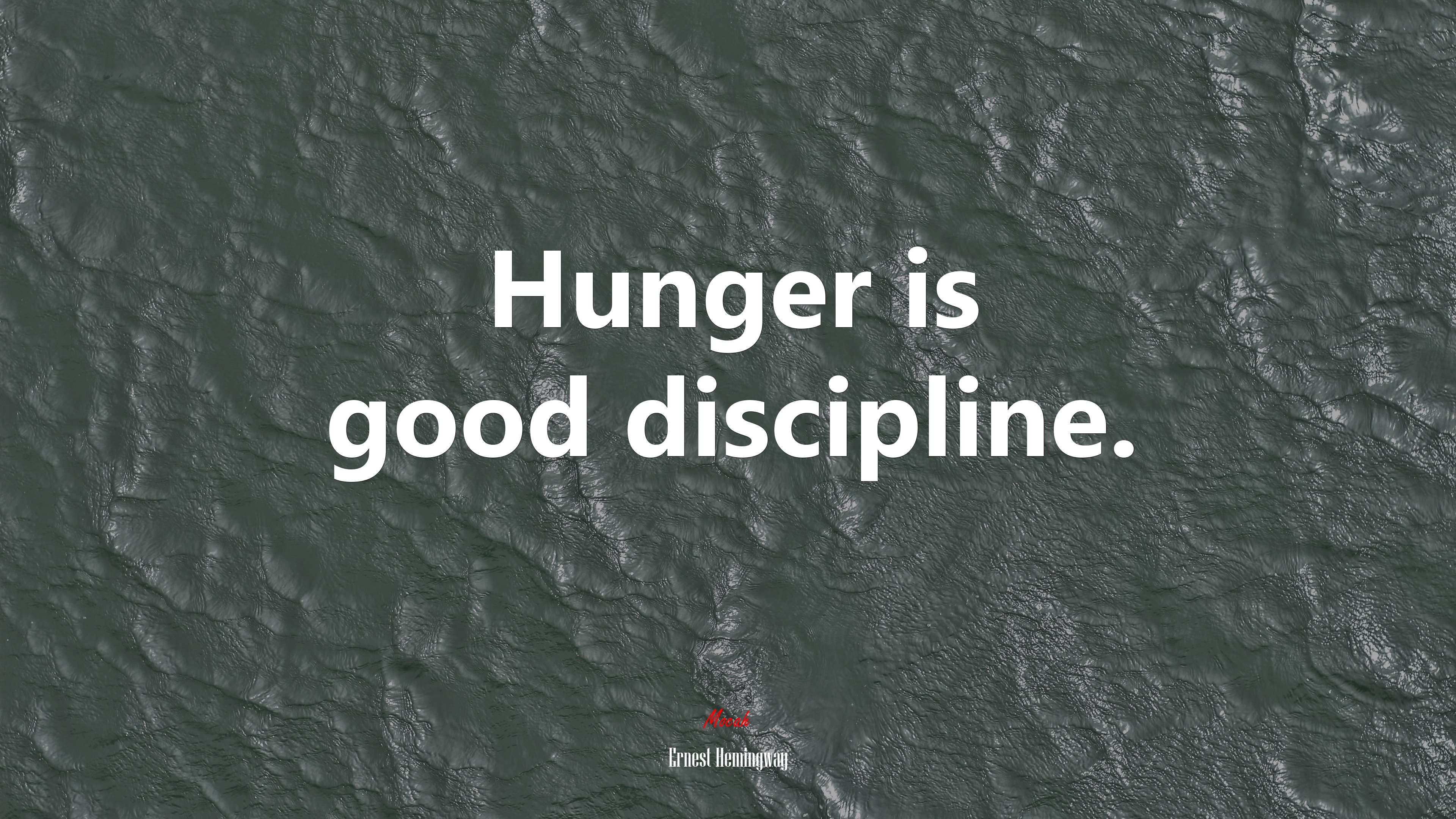 Hunger is good discipline. | Ernest Hemingway quote HD Wallpaper