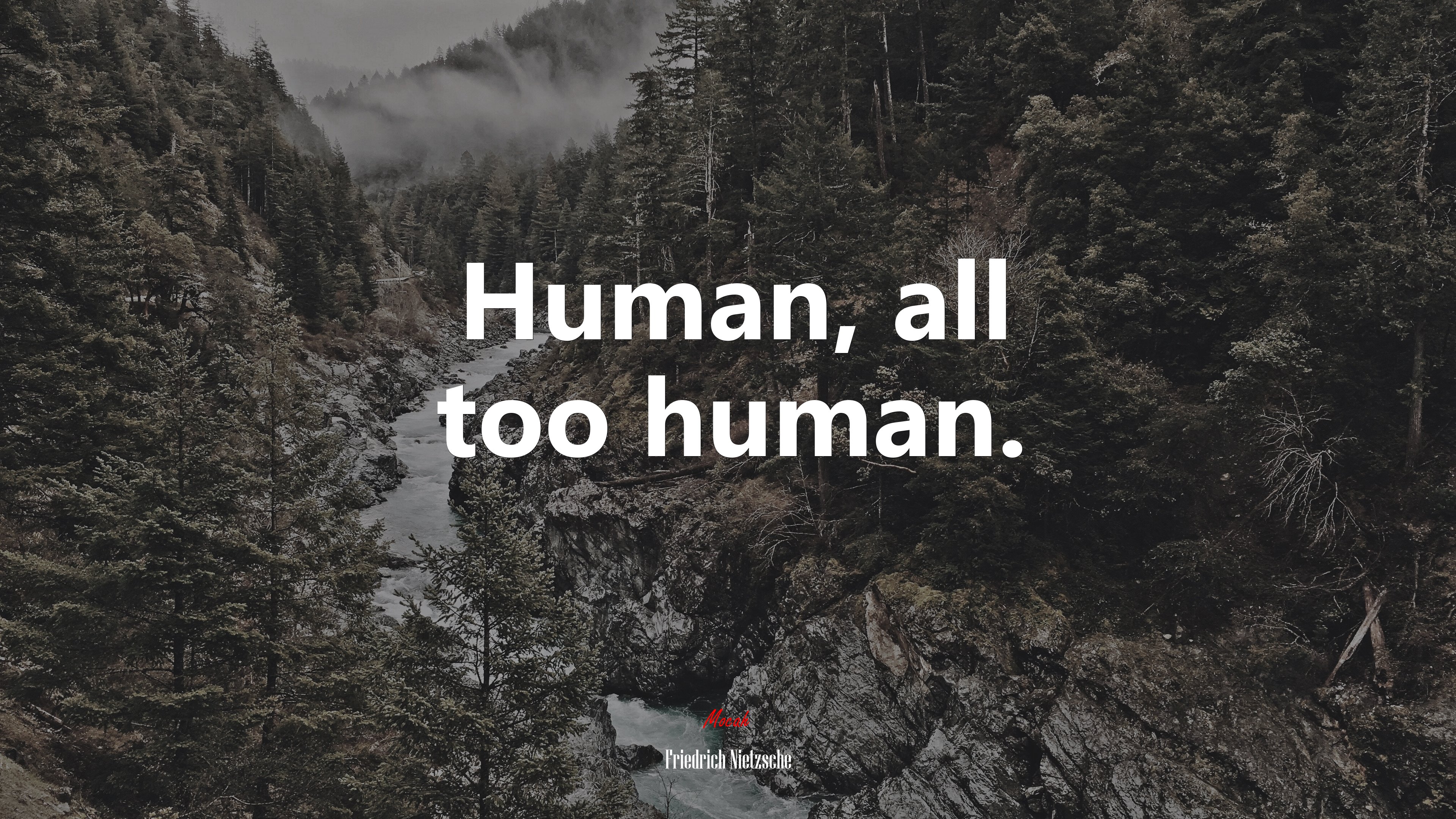 Human, all too human. | Friedrich Nietzsche quote HD Wallpaper
