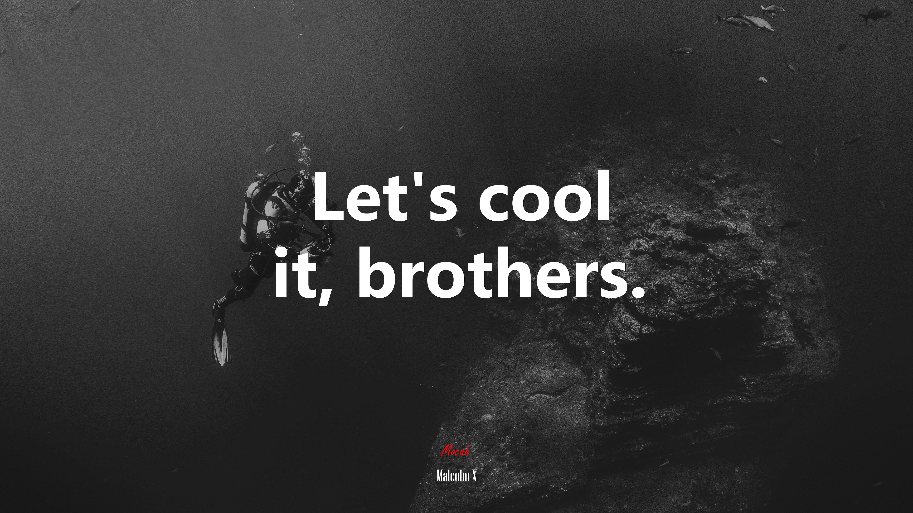 Let Cool Let’s cool it, brothers. | Malcolm X quote, HD Wallpaper | Rare Gallery