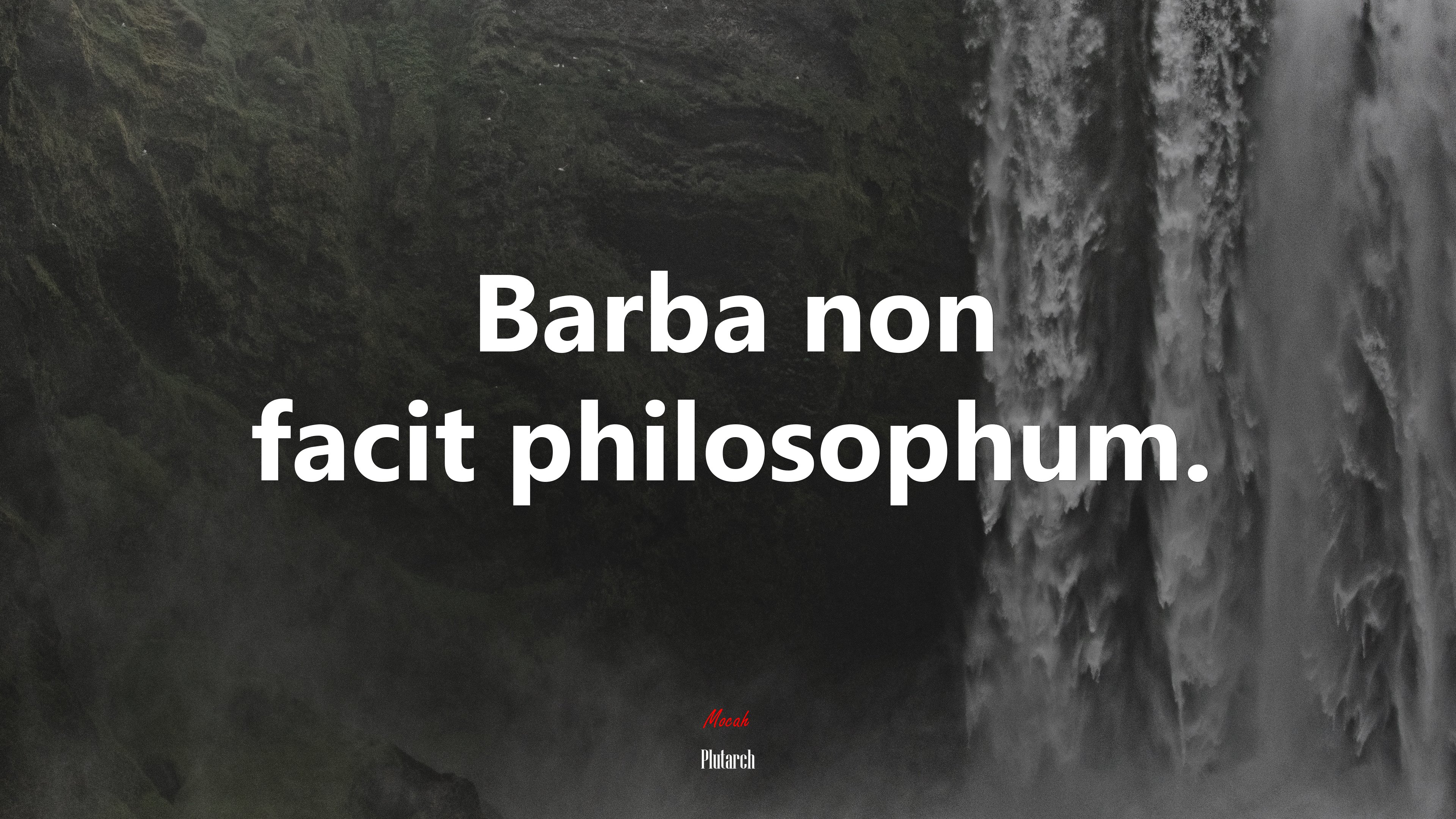 Barba non facit philosophum. | Plutarch quote HD Wallpaper