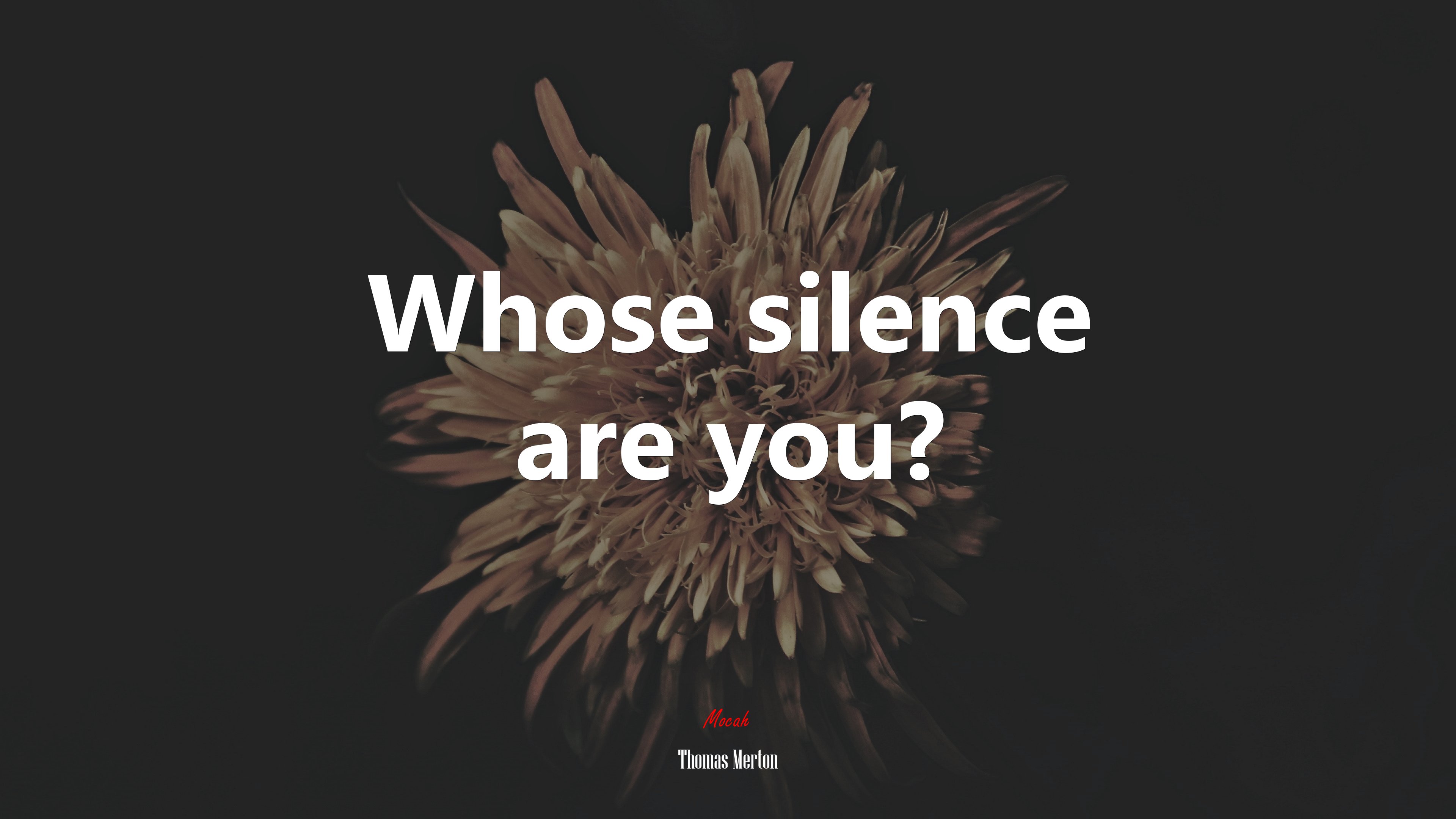 Whose silence are you? | Thomas Merton quote HD Wallpaper
