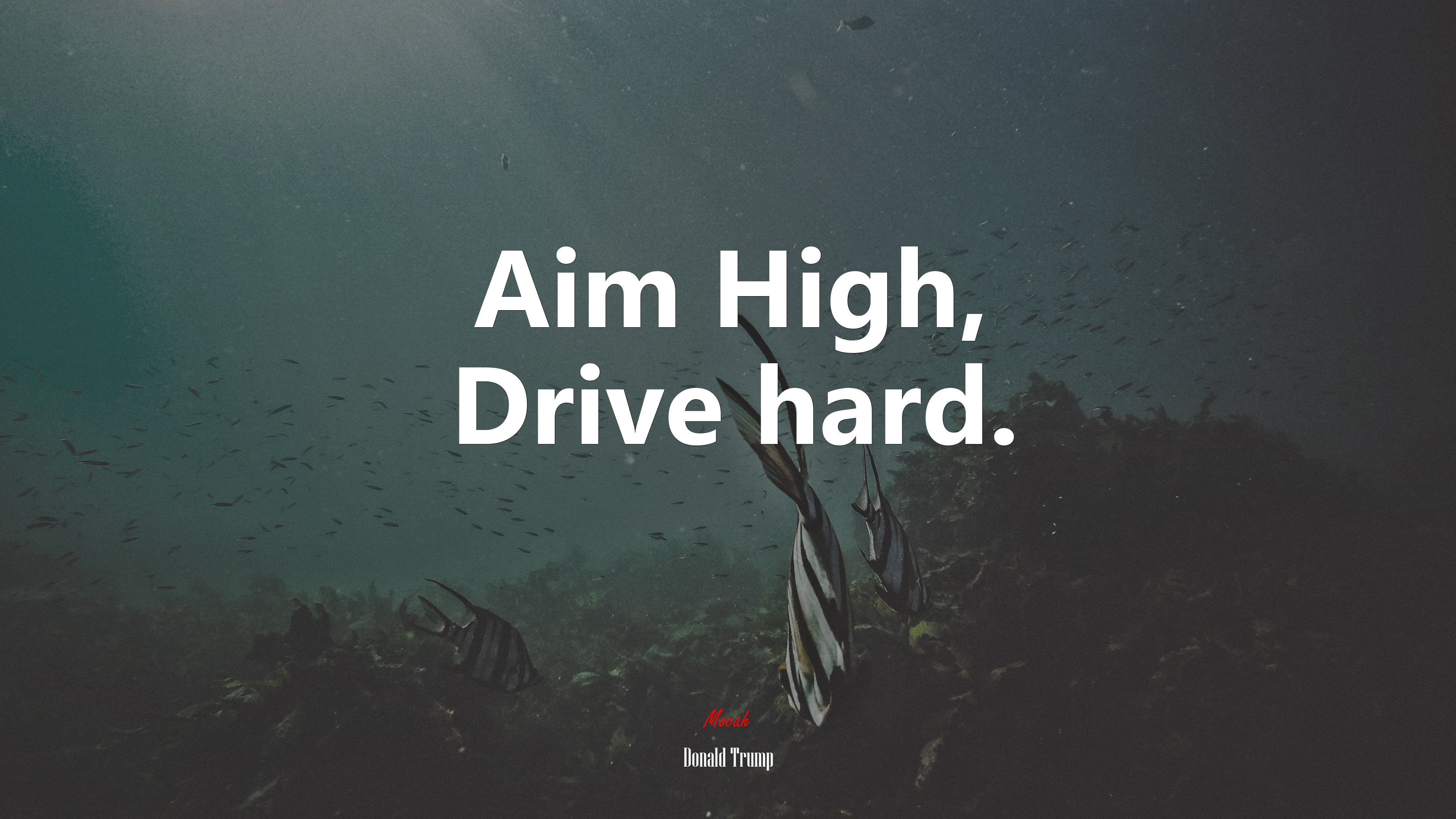 Aim High, Drive hard. | Donald Trump quote HD Wallpaper