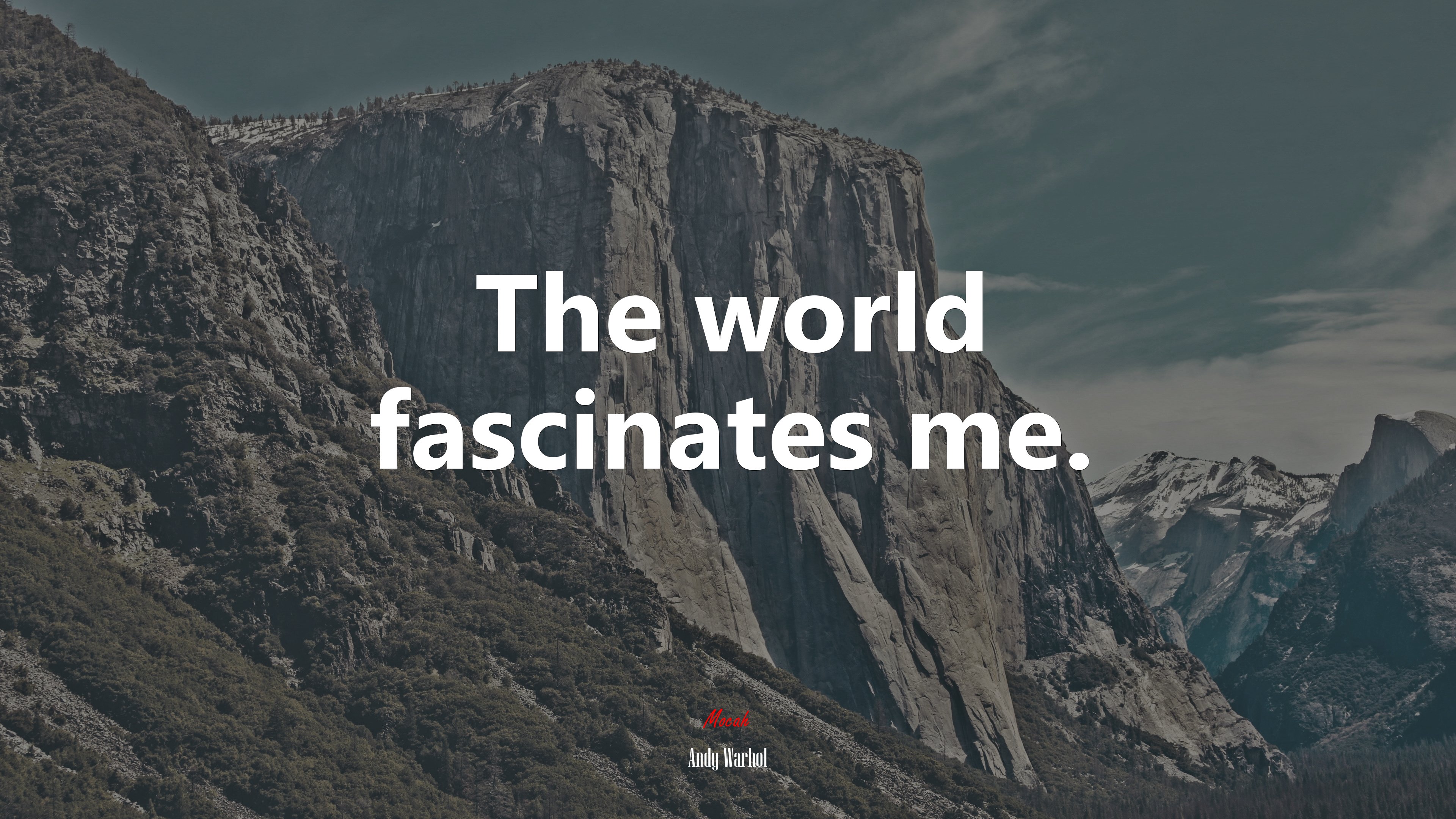 The world fascinates me. | Andy Warhol quote HD Wallpaper