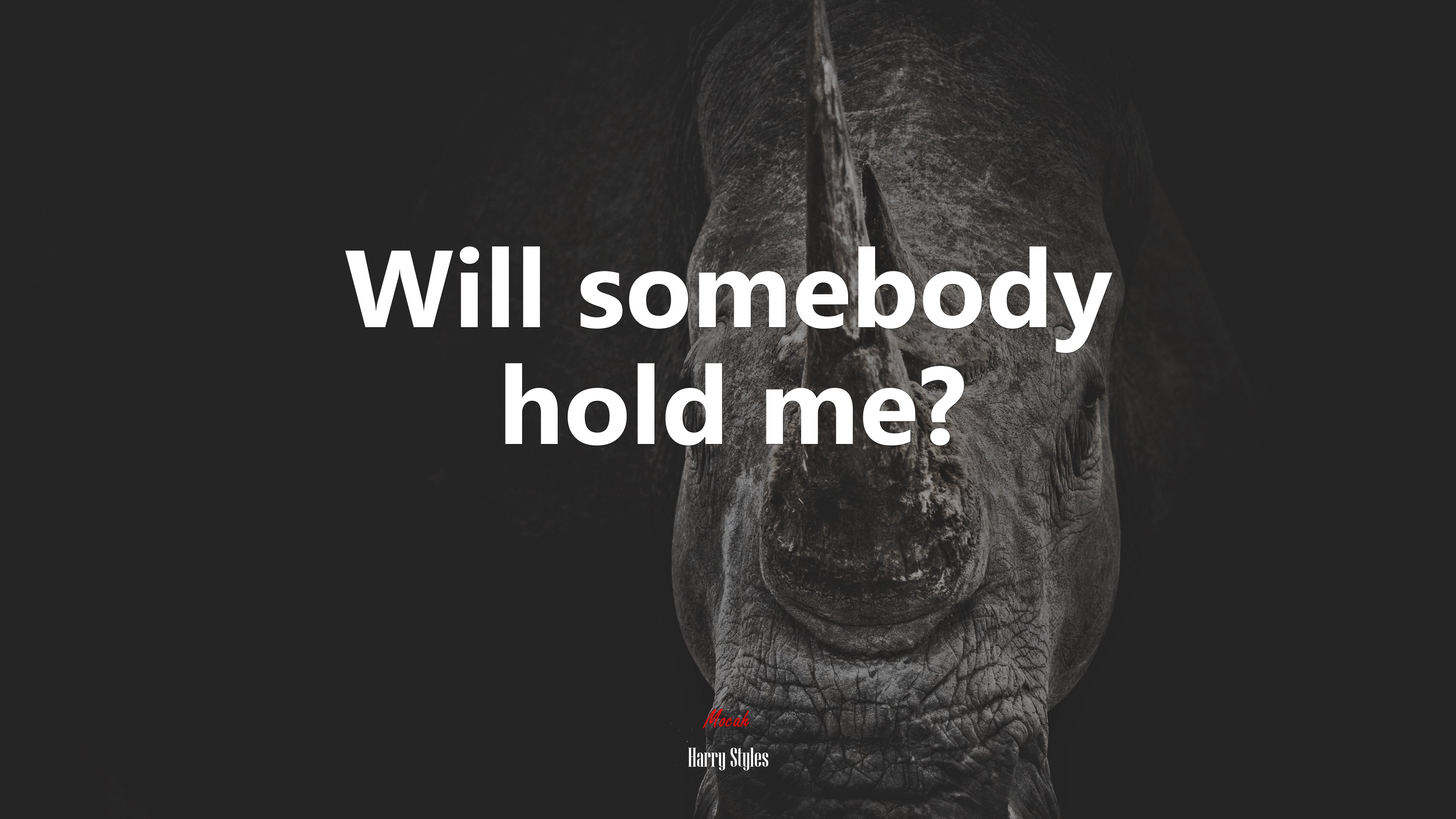 Will somebody hold me? | Harry Styles quote HD Wallpaper