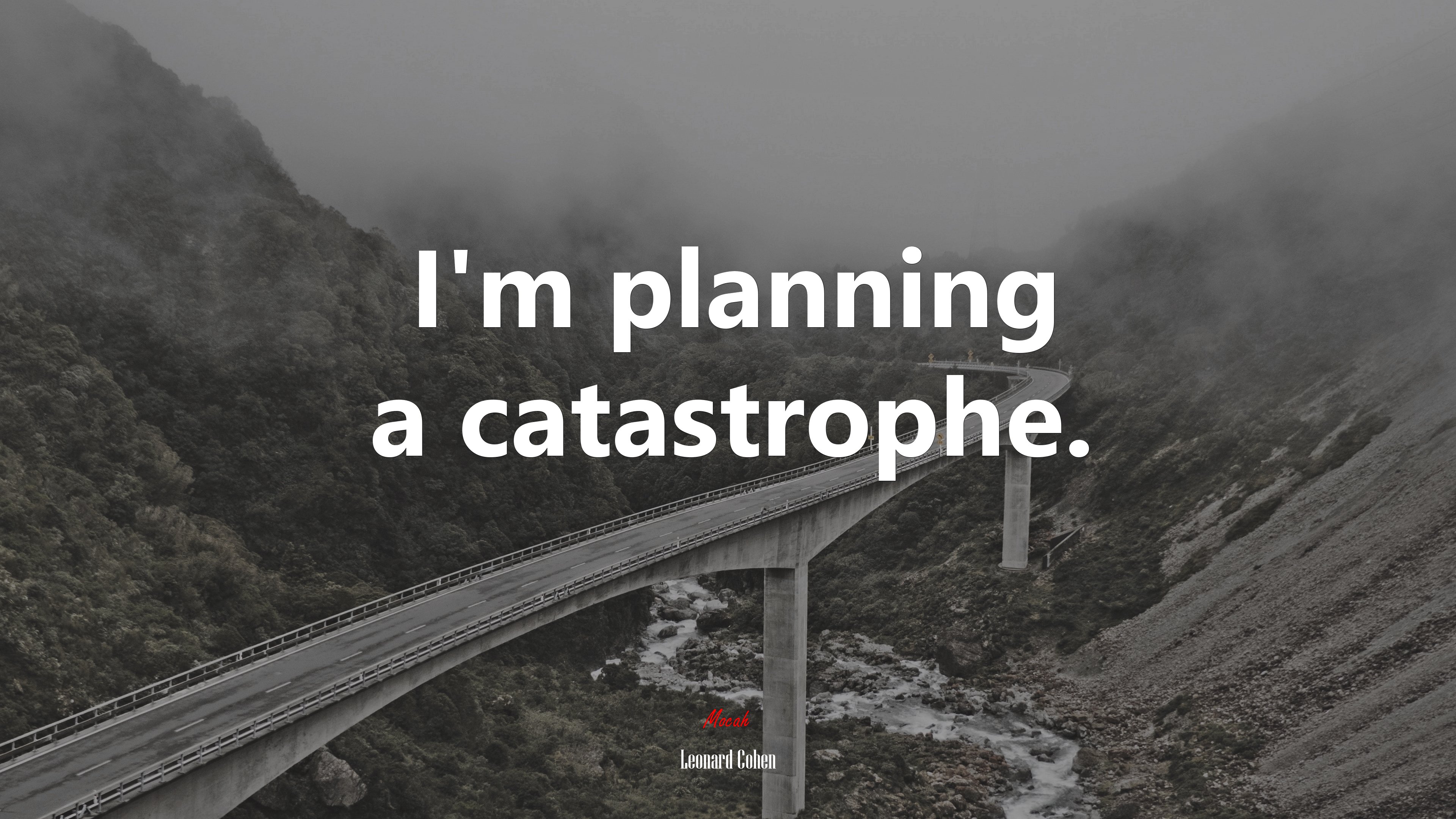 I’m planning a catastrophe. | Leonard Cohen quote HD Wallpaper