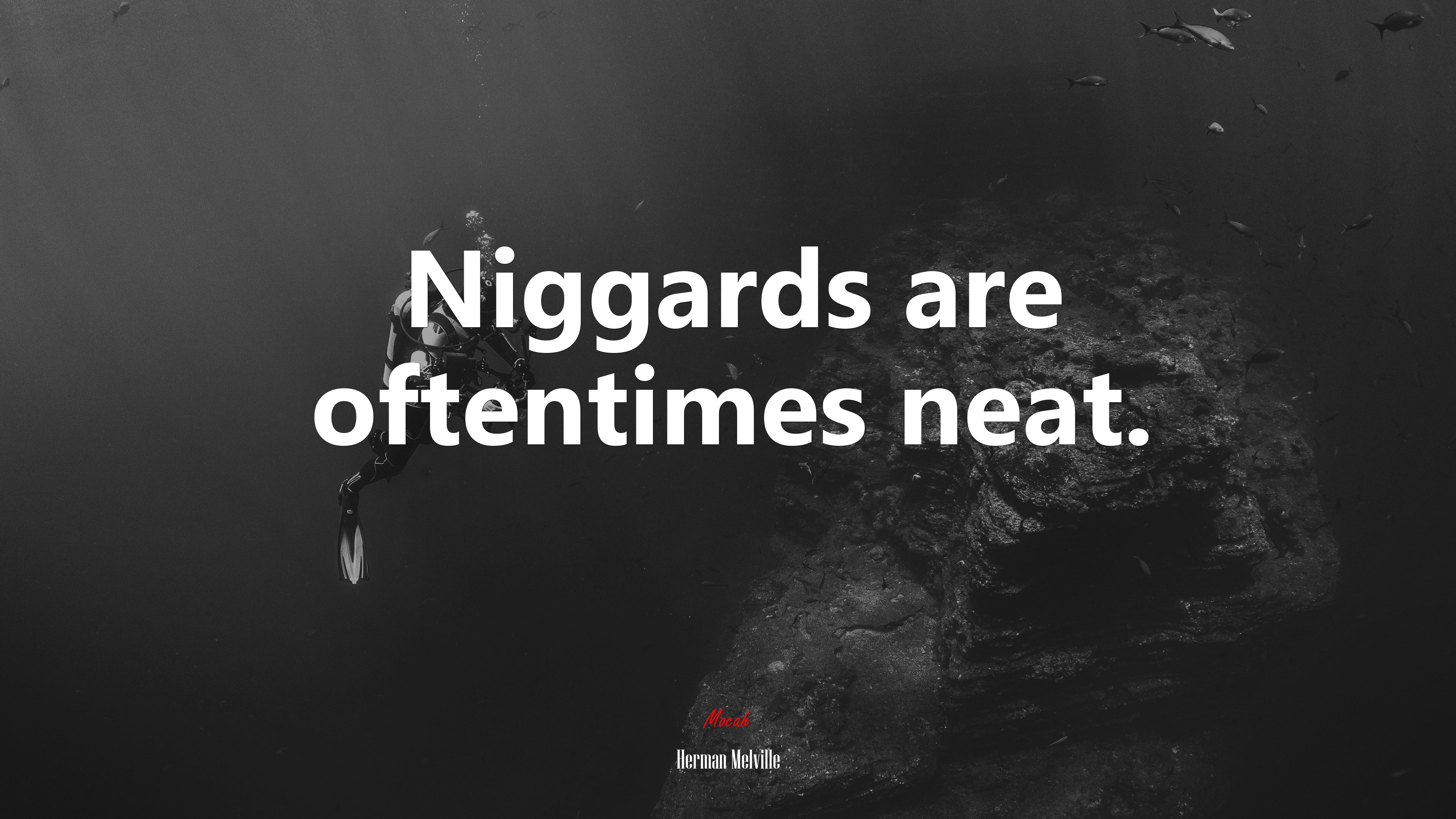 Niggards are oftentimes neat. | Herman Melville quote HD Wallpaper