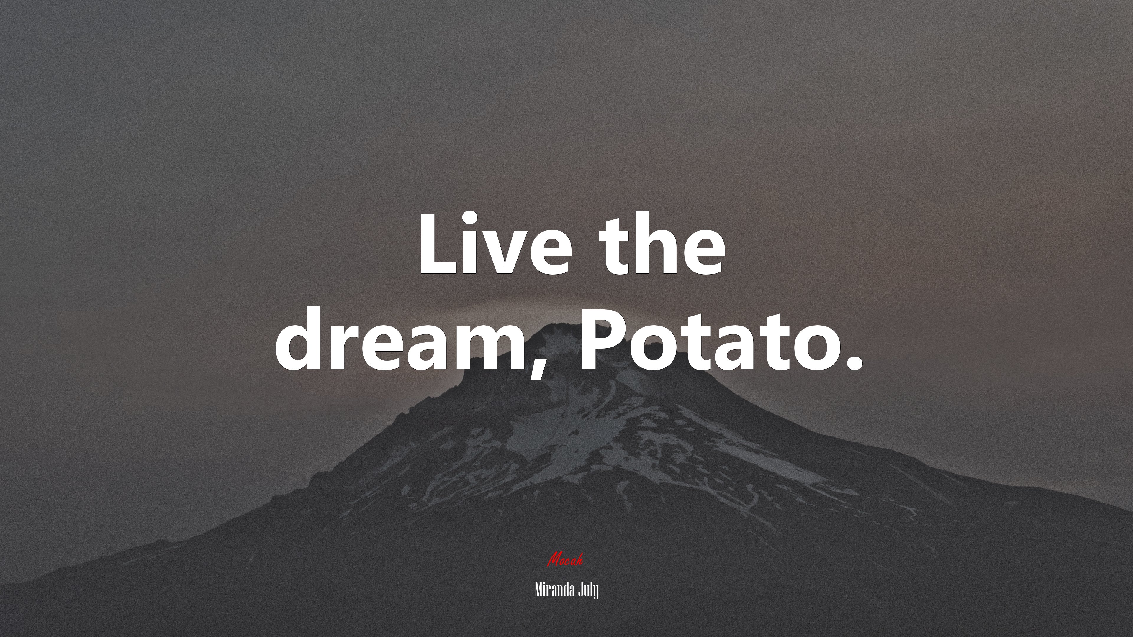 Live the dream, Potato. | Miranda July quote HD Wallpaper