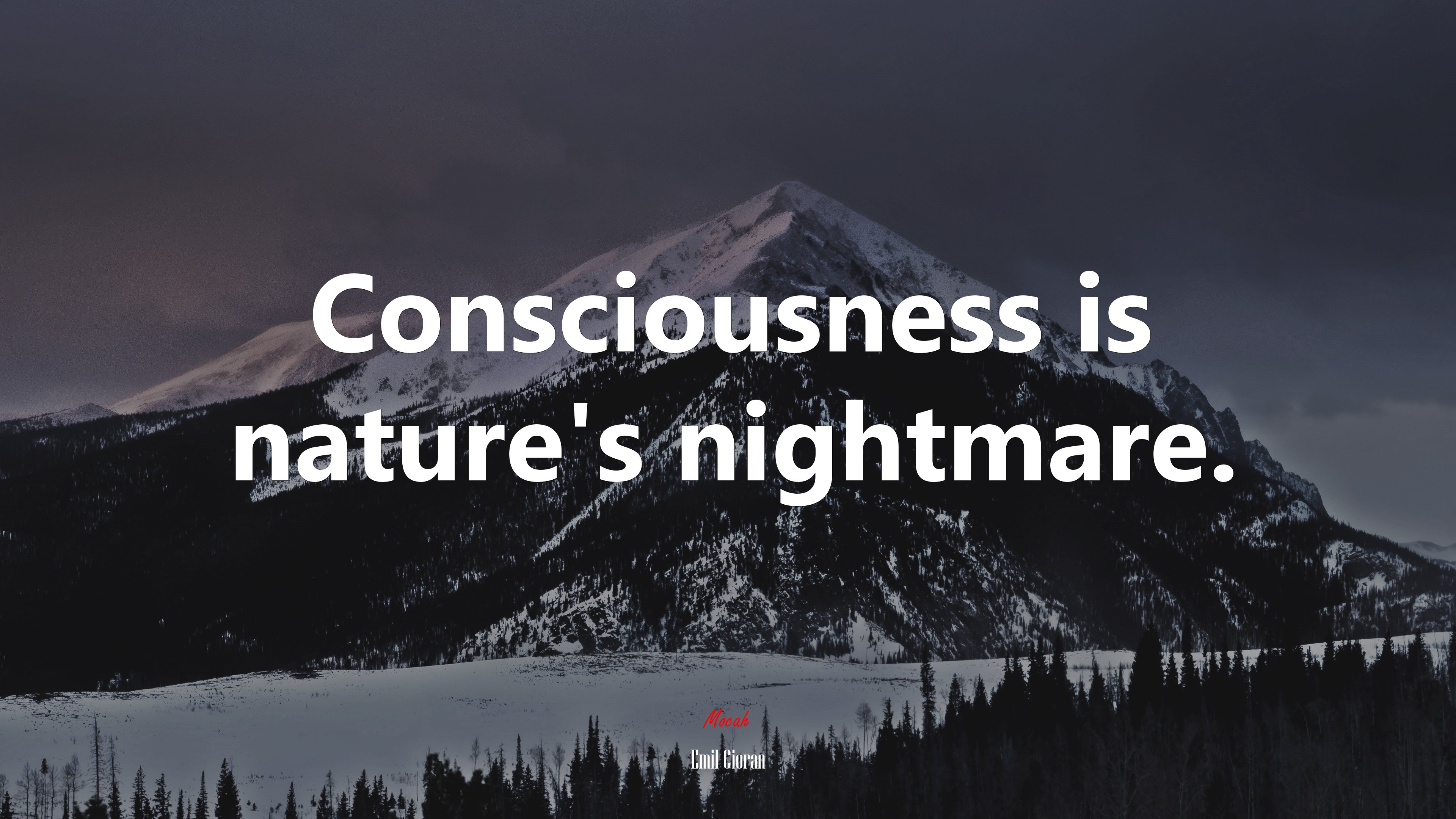 Consciousness is nature’s nightmare. | Emil Cioran quote HD Wallpaper