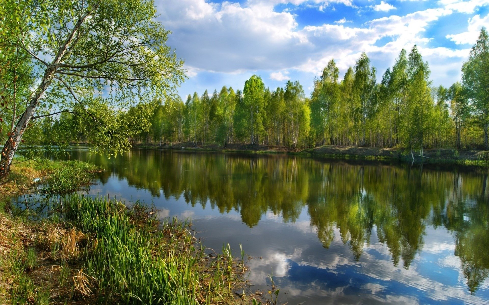 A tranquil river reflects a forest and sky HD Wallpaper