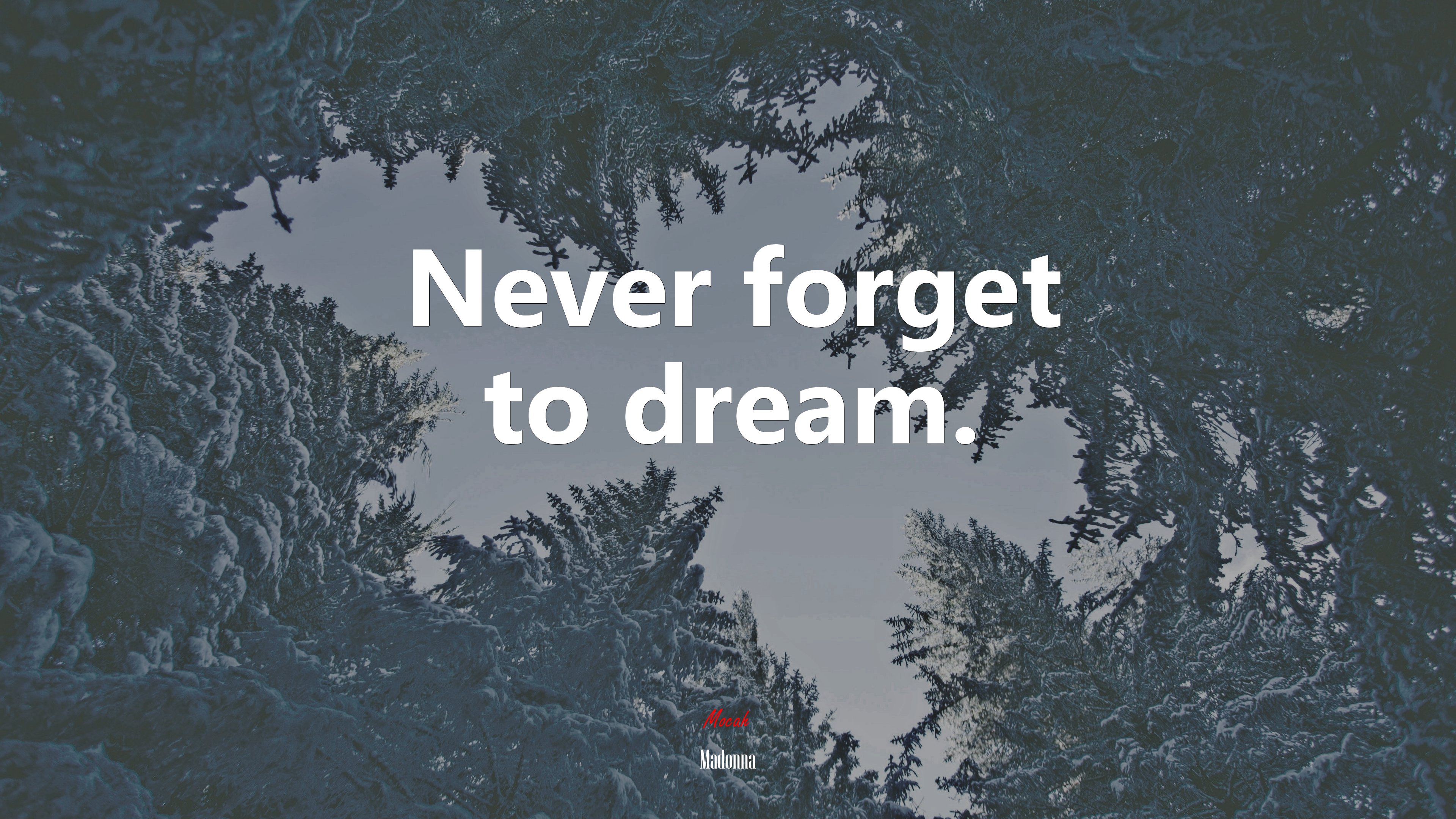 Never forget to dream. | Madonna quote HD Wallpaper