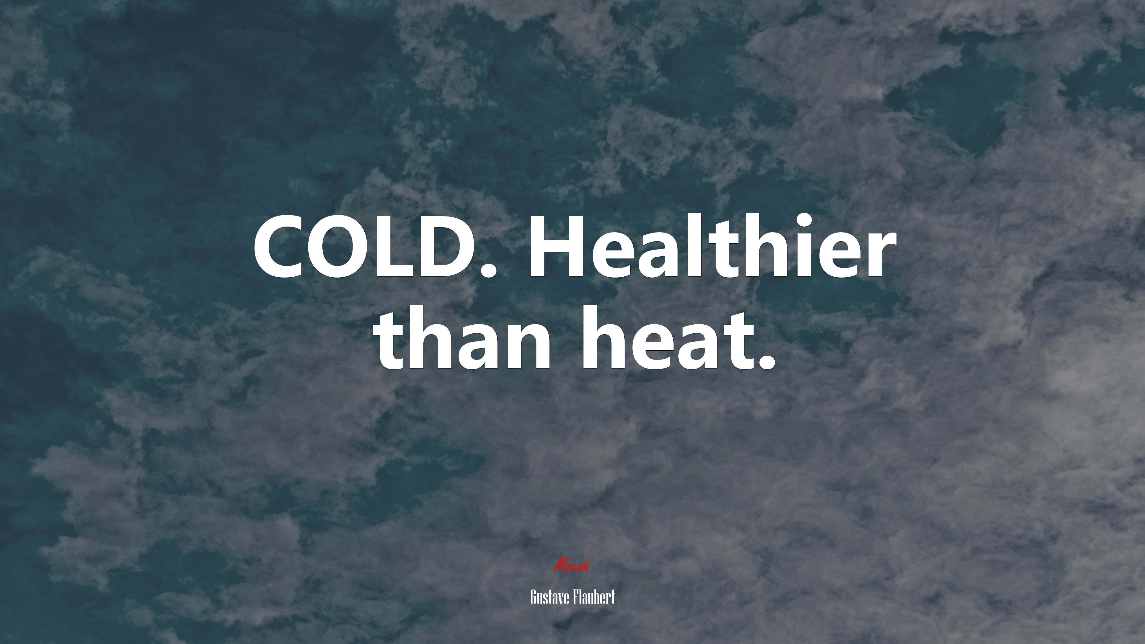 COLD. Healthier than heat. | Gustave Flaubert quote HD Wallpaper
