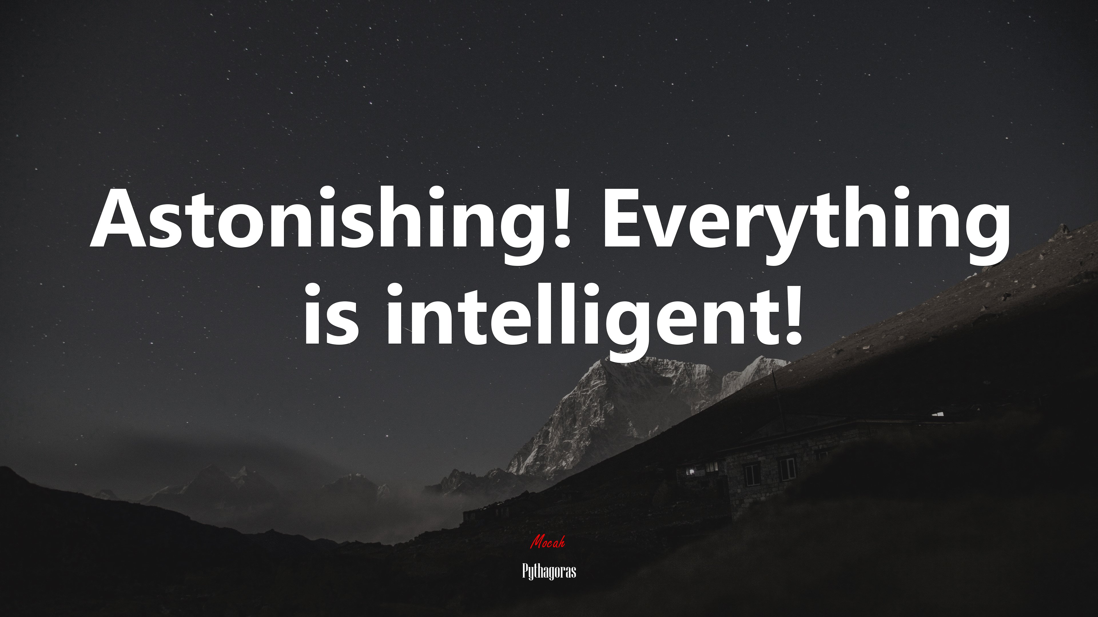 Astonishing! Everything is intelligent! | Pythagoras quote HD Wallpaper