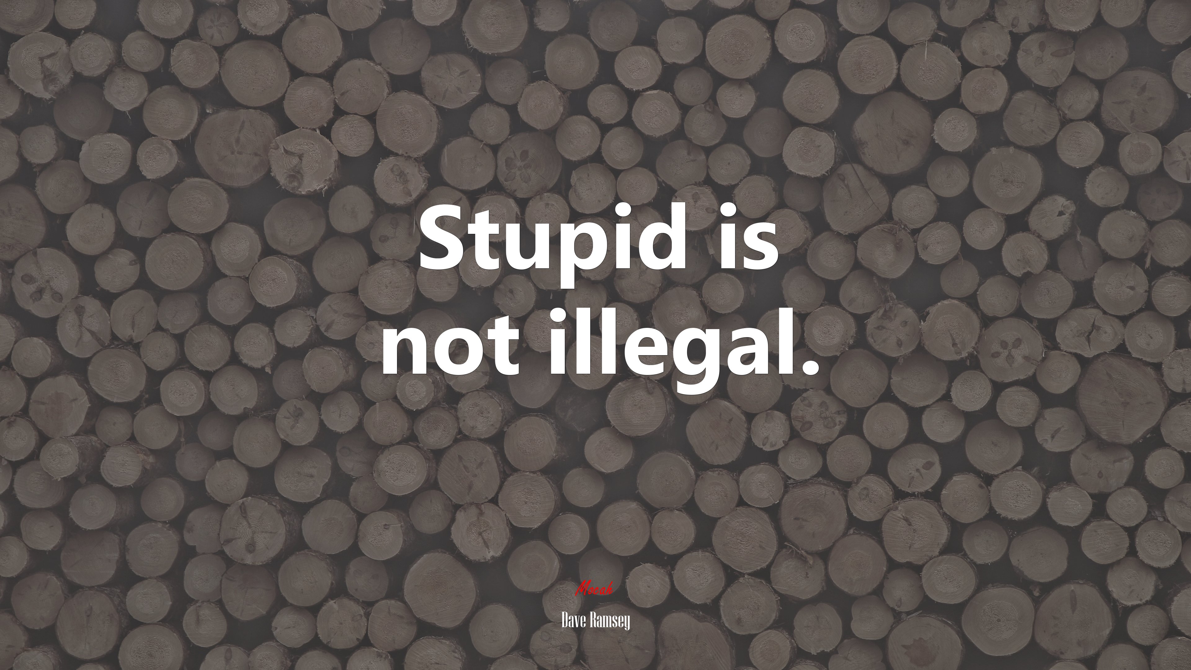 Stupid is not illegal. | Dave Ramsey quote HD Wallpaper