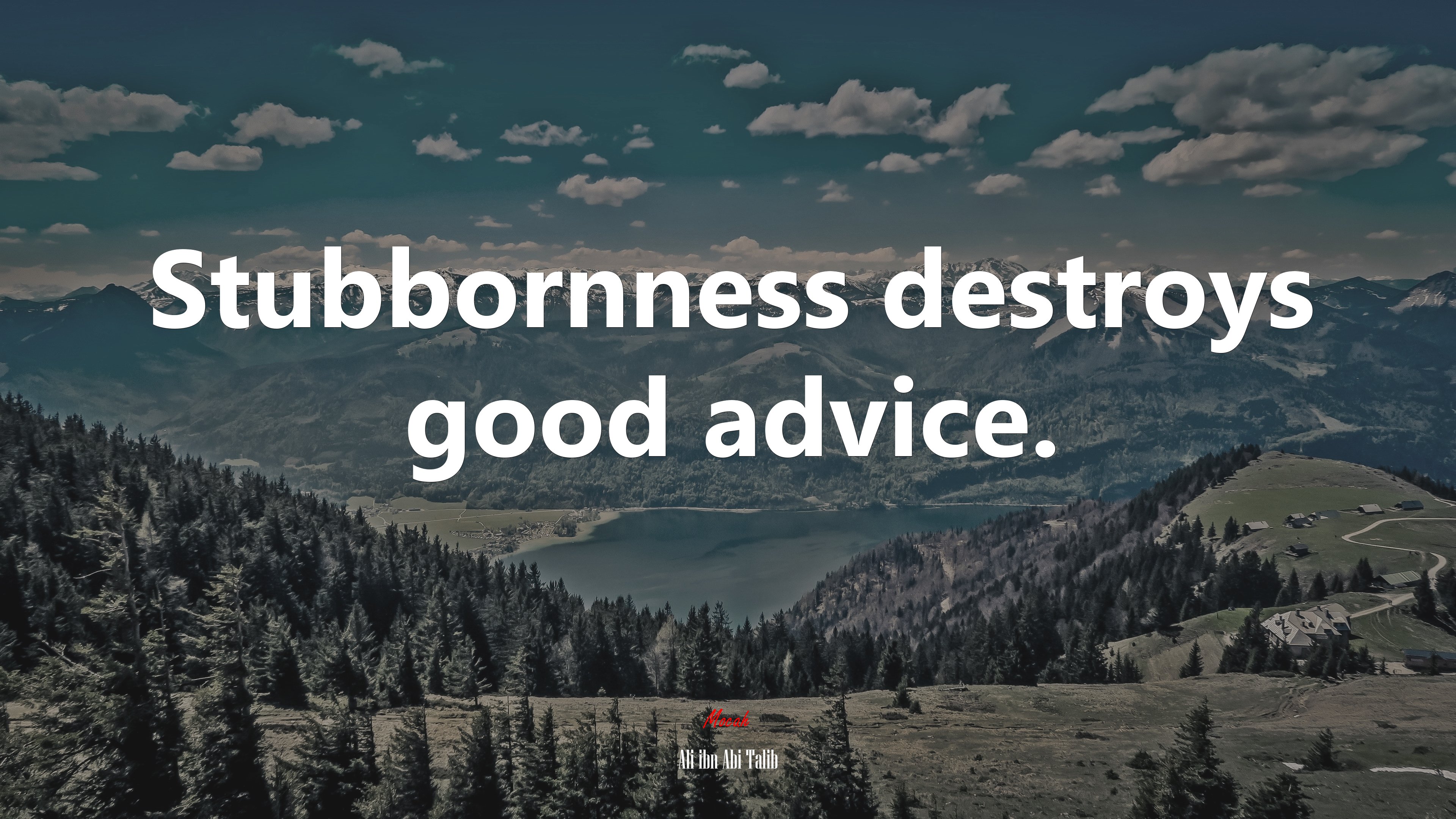 Stubbornness destroys good advice. | Ali ibn Abi Talib quote HD Wallpaper