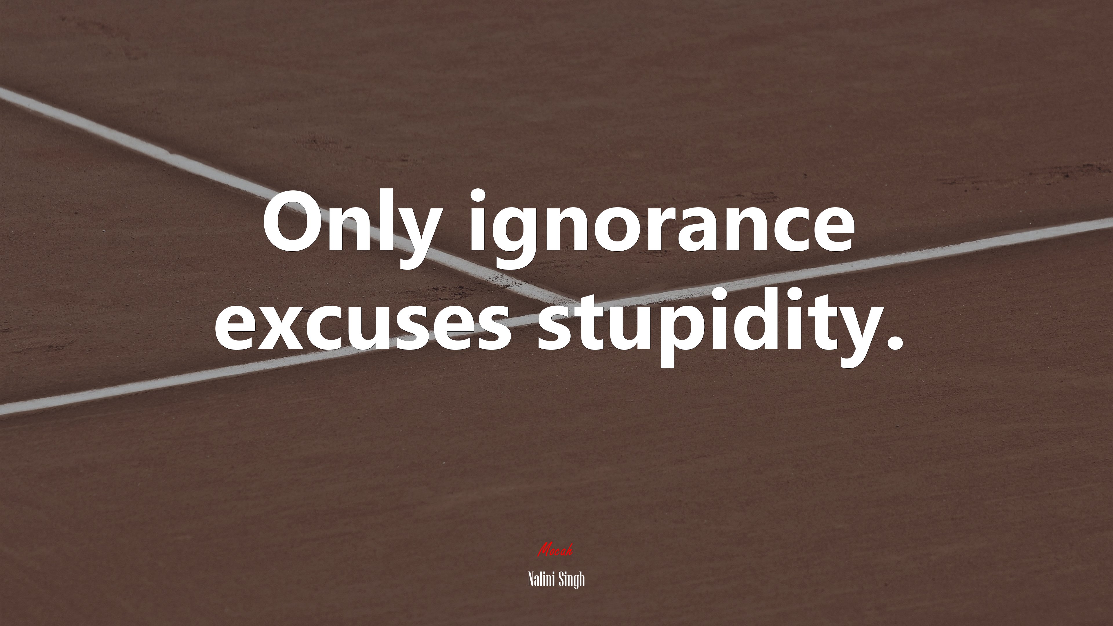 Only ignorance excuses stupidity. | Nalini Singh quote HD Wallpaper