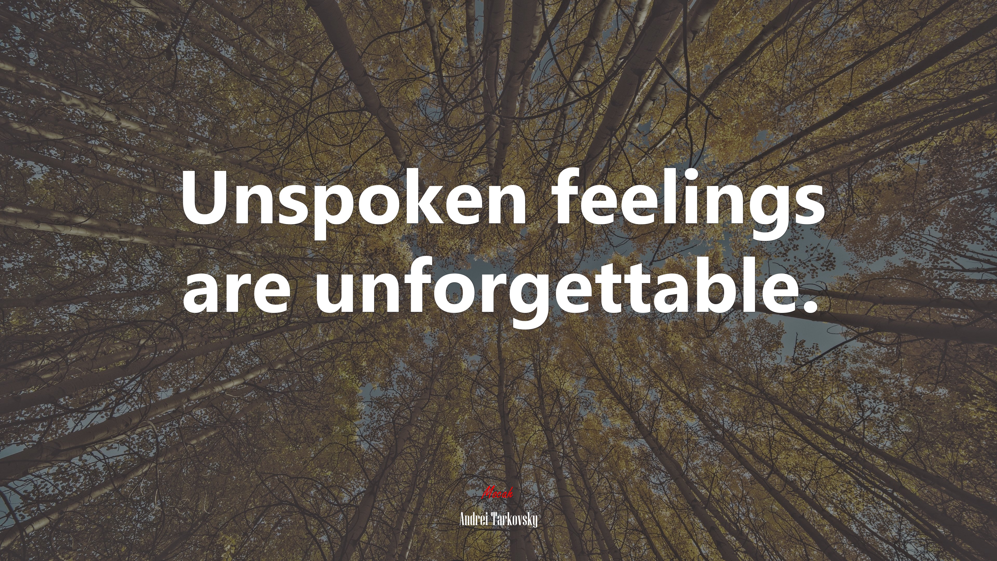 Unspoken feelings are unforgettable. | Andrei Tarkovsky quote HD Wallpaper