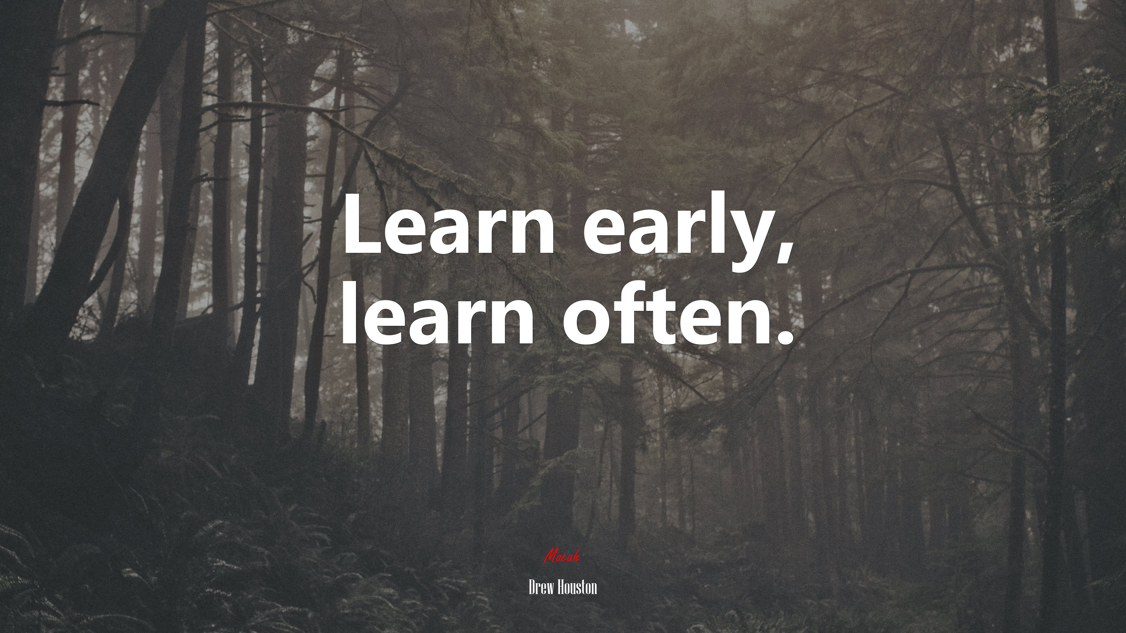 Learn early, learn often. | Drew Houston quote HD Wallpaper