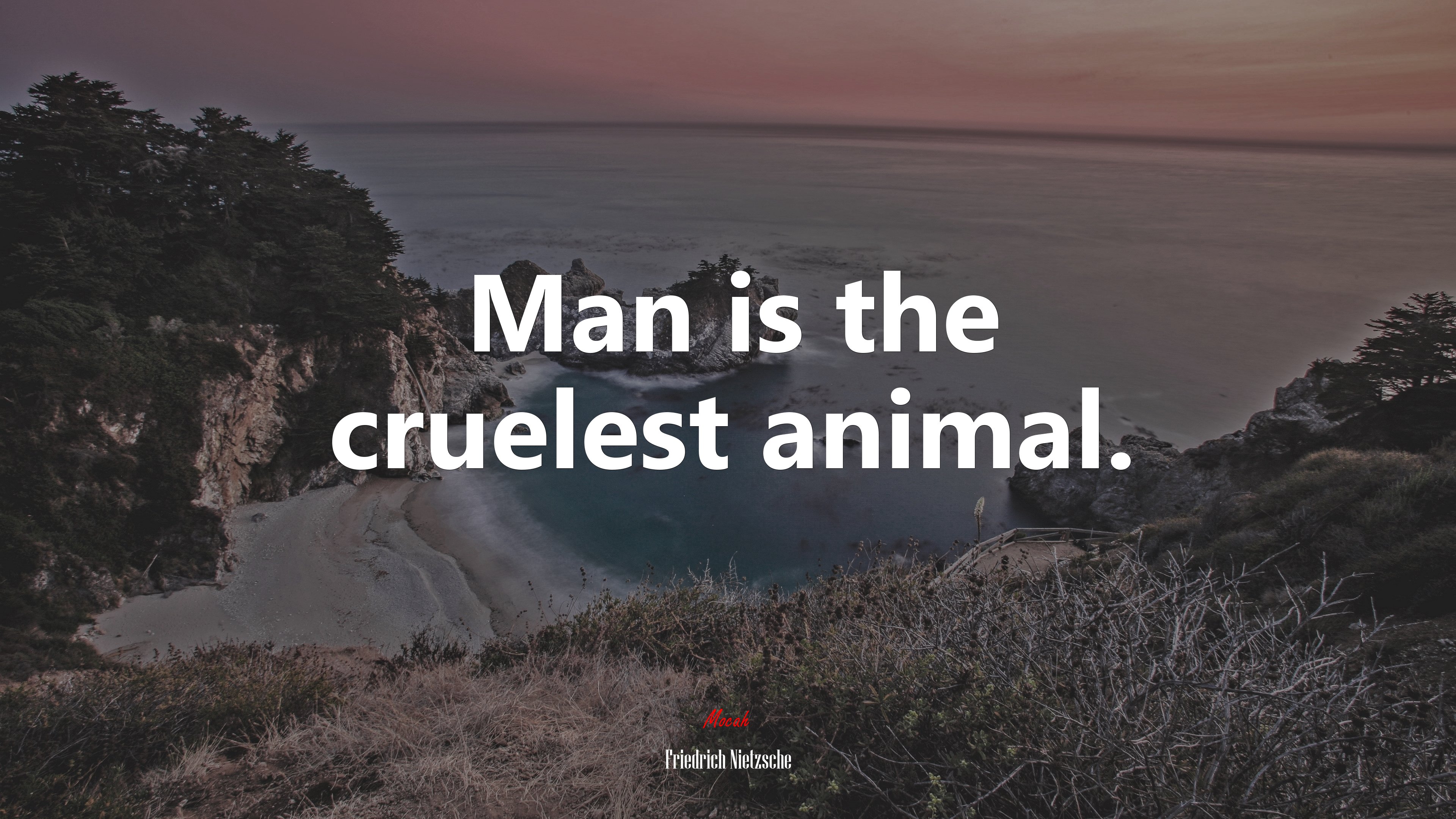 Man is the cruelest animal. | Friedrich Nietzsche quote HD Wallpaper