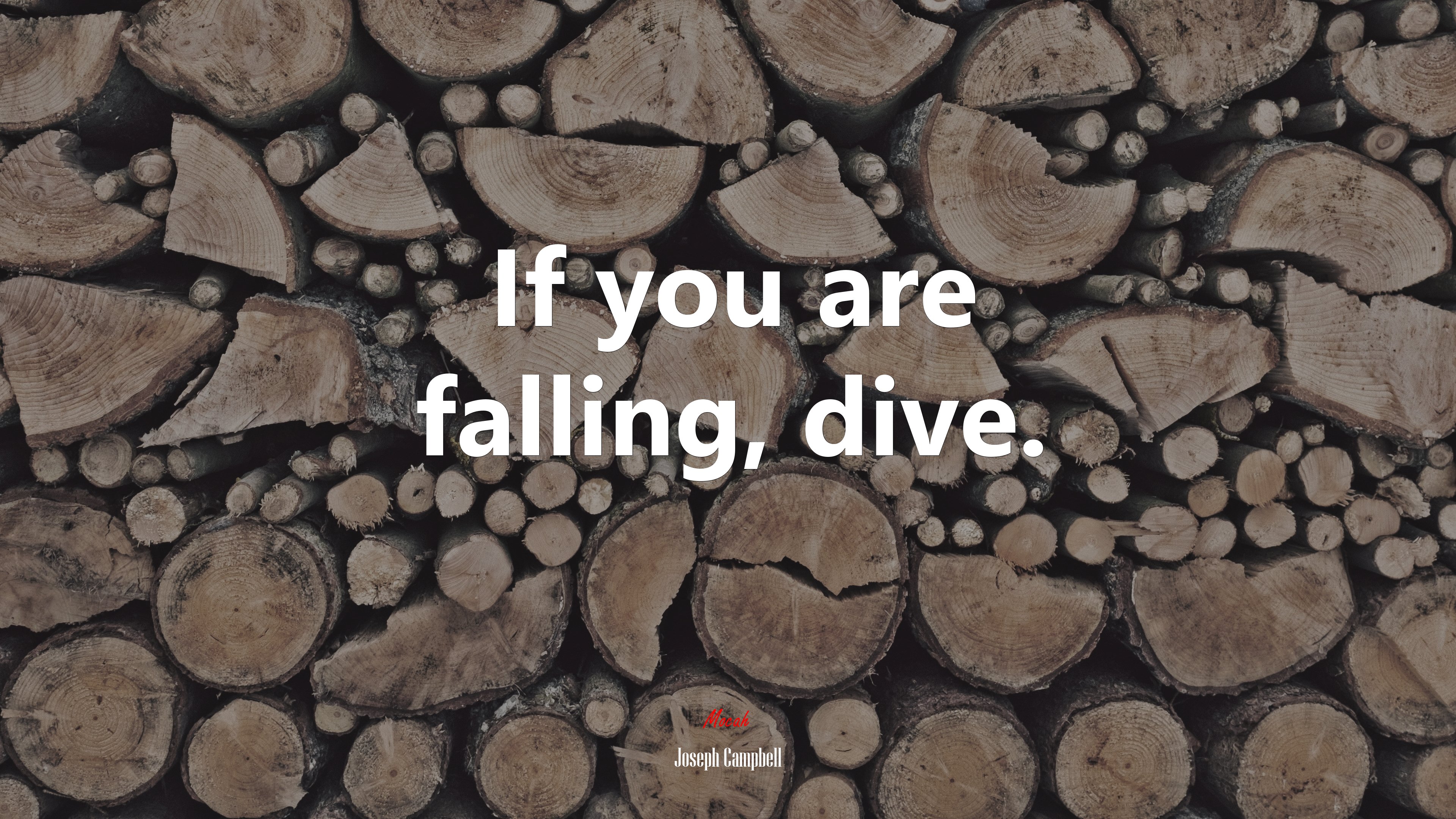 If you are falling, dive. | Joseph Campbell quote HD Wallpaper