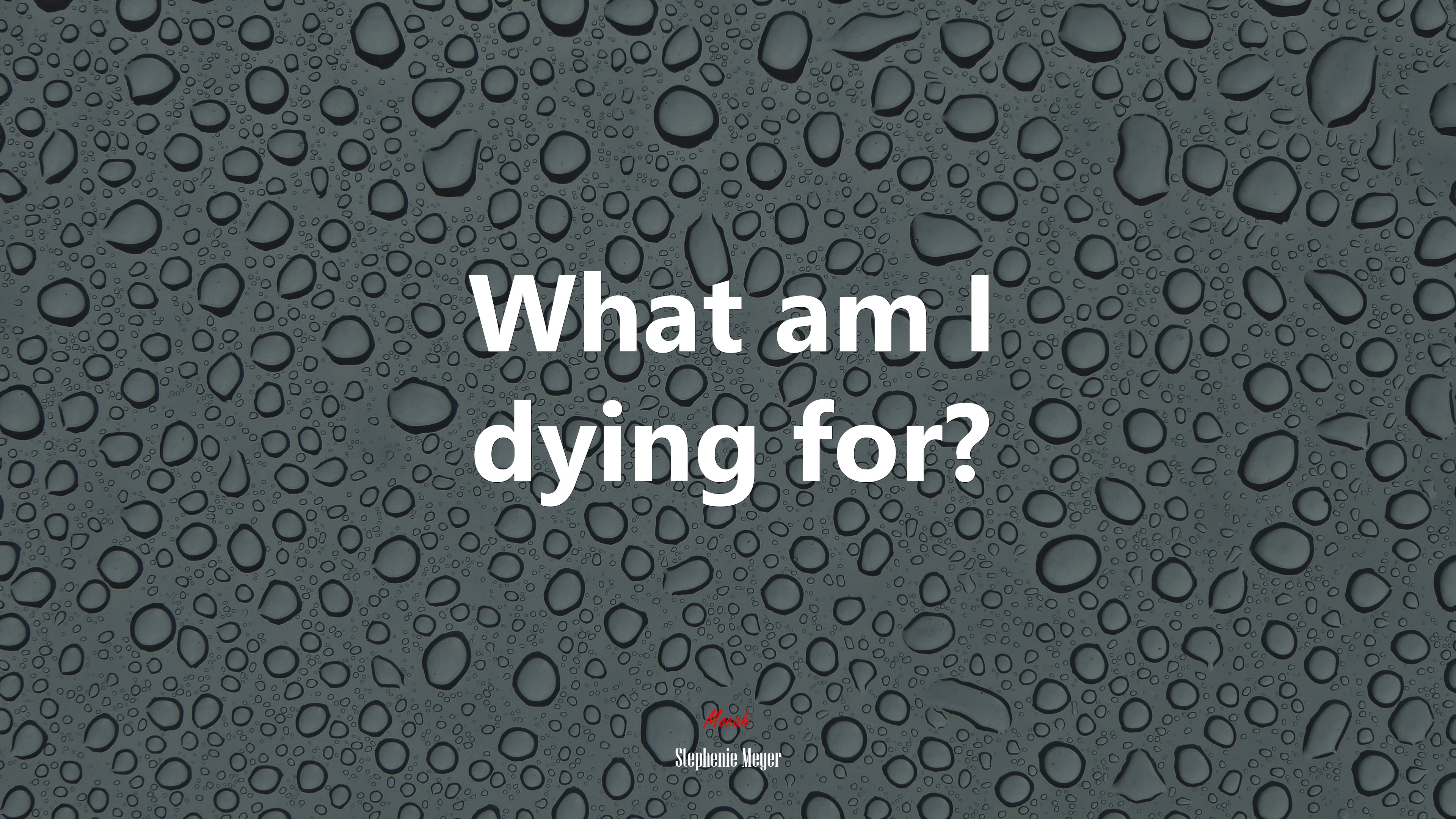 What am I dying for? | Stephenie Meyer quote HD Wallpaper