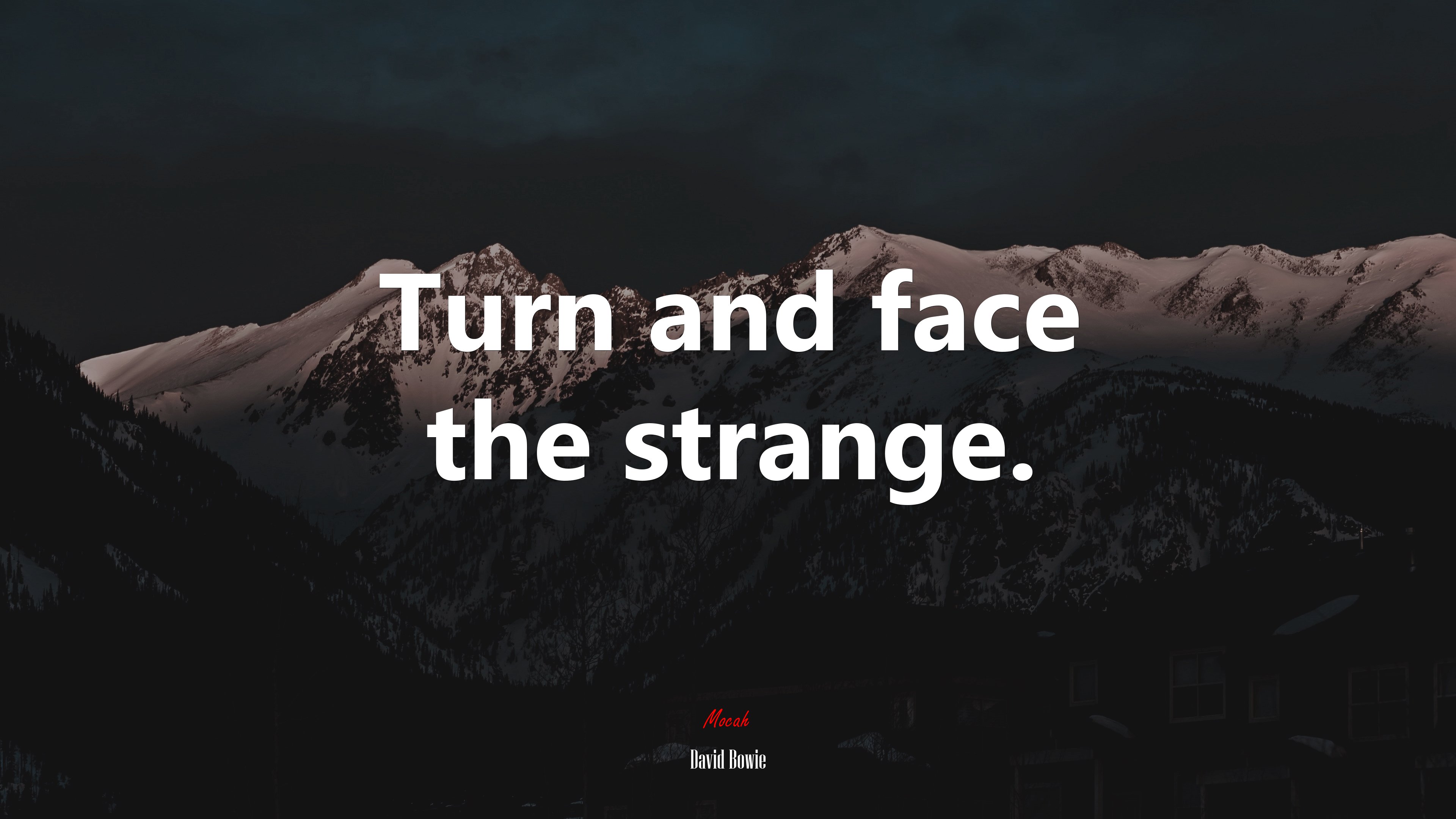 Turn and face the strange. | David Bowie quote HD Wallpaper
