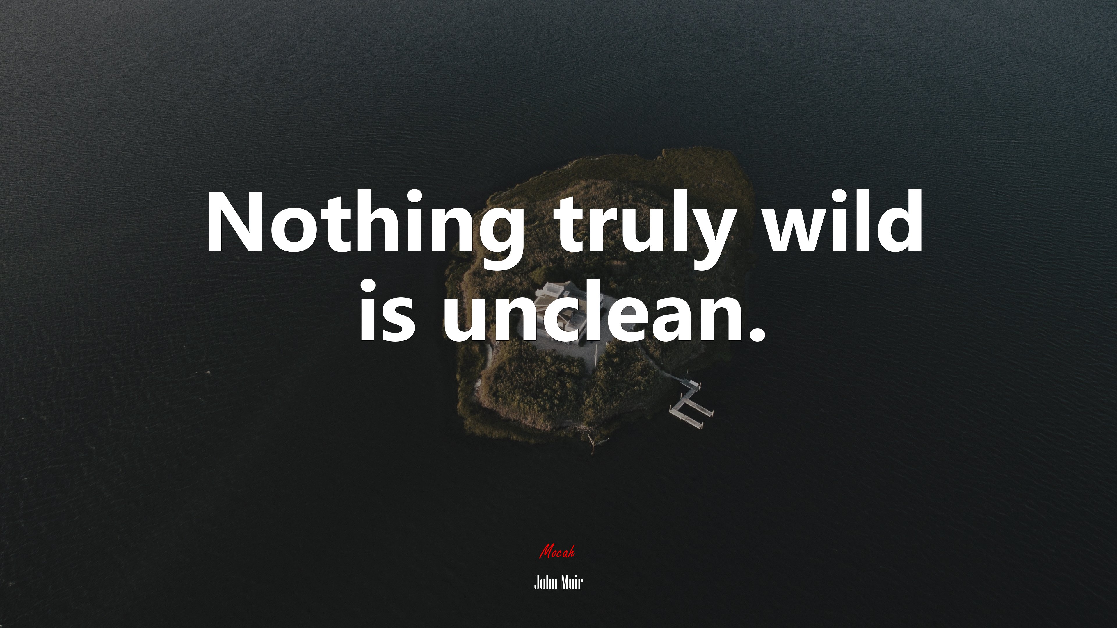 Nothing truly wild is unclean. | John Muir quote HD Wallpaper