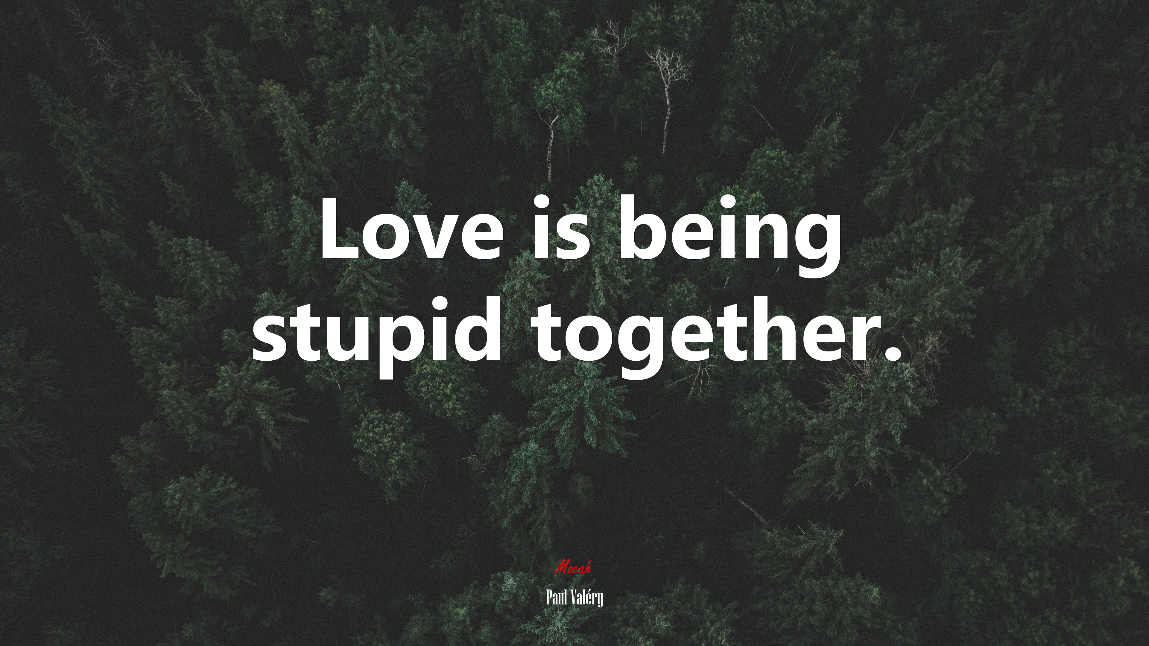 Love is being stupid together. | Paul Valéry quote HD Wallpaper