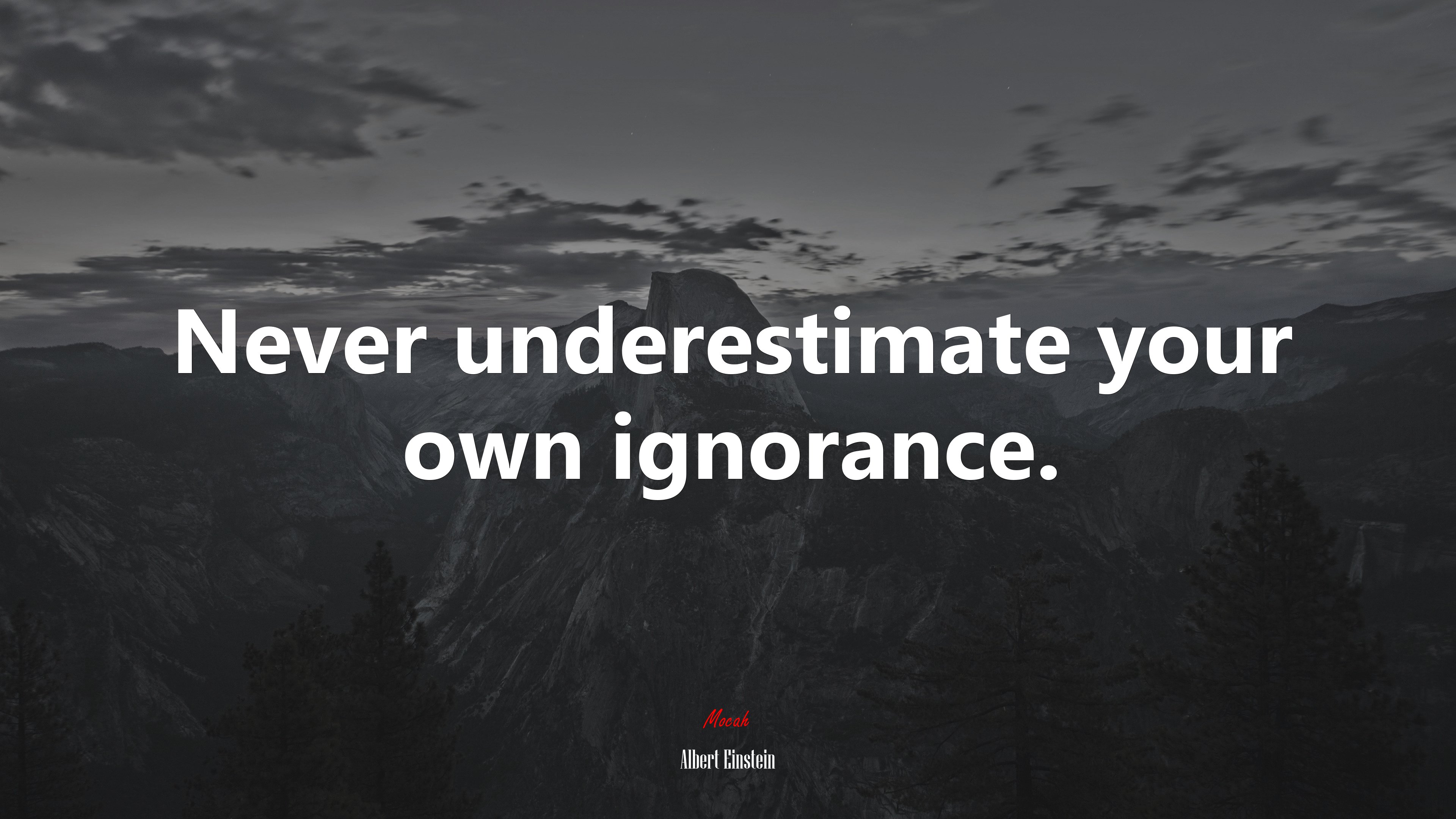 Never underestimate your own ignorance. | Albert Einstein quote HD Wallpaper