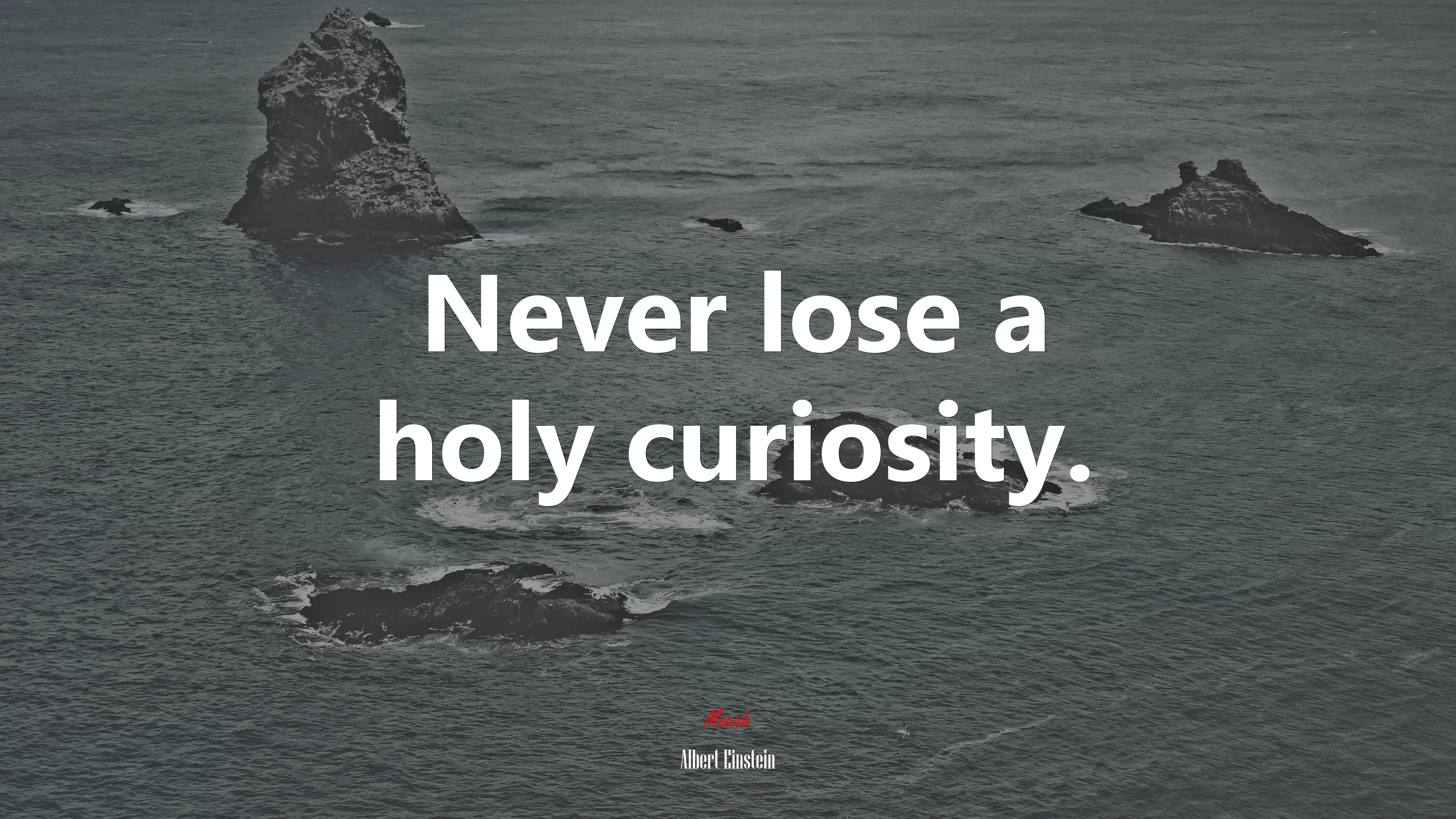 Never lose a holy curiosity. | Albert Einstein quote HD Wallpaper