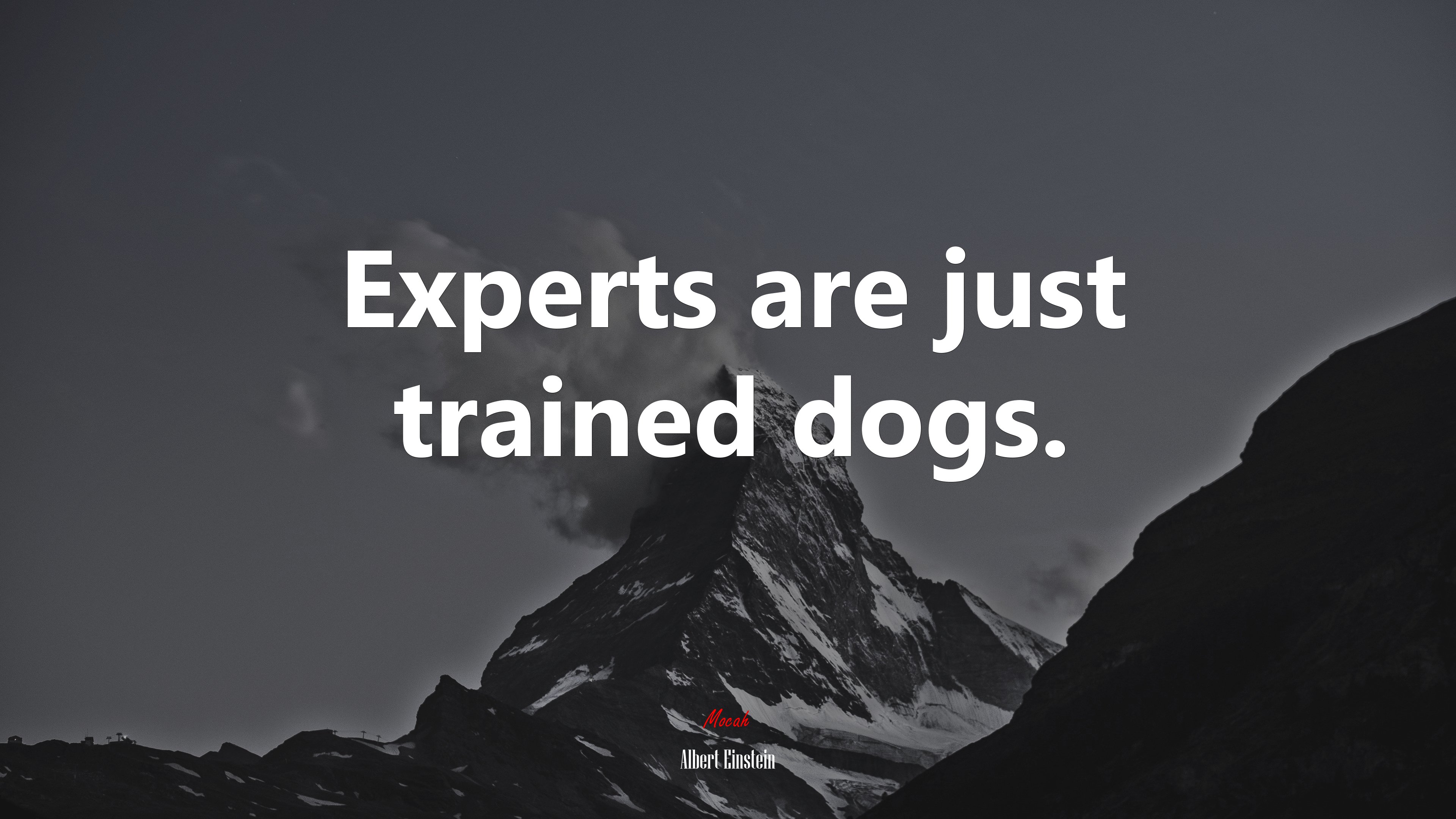 Experts are just trained dogs. | Albert Einstein quote HD Wallpaper