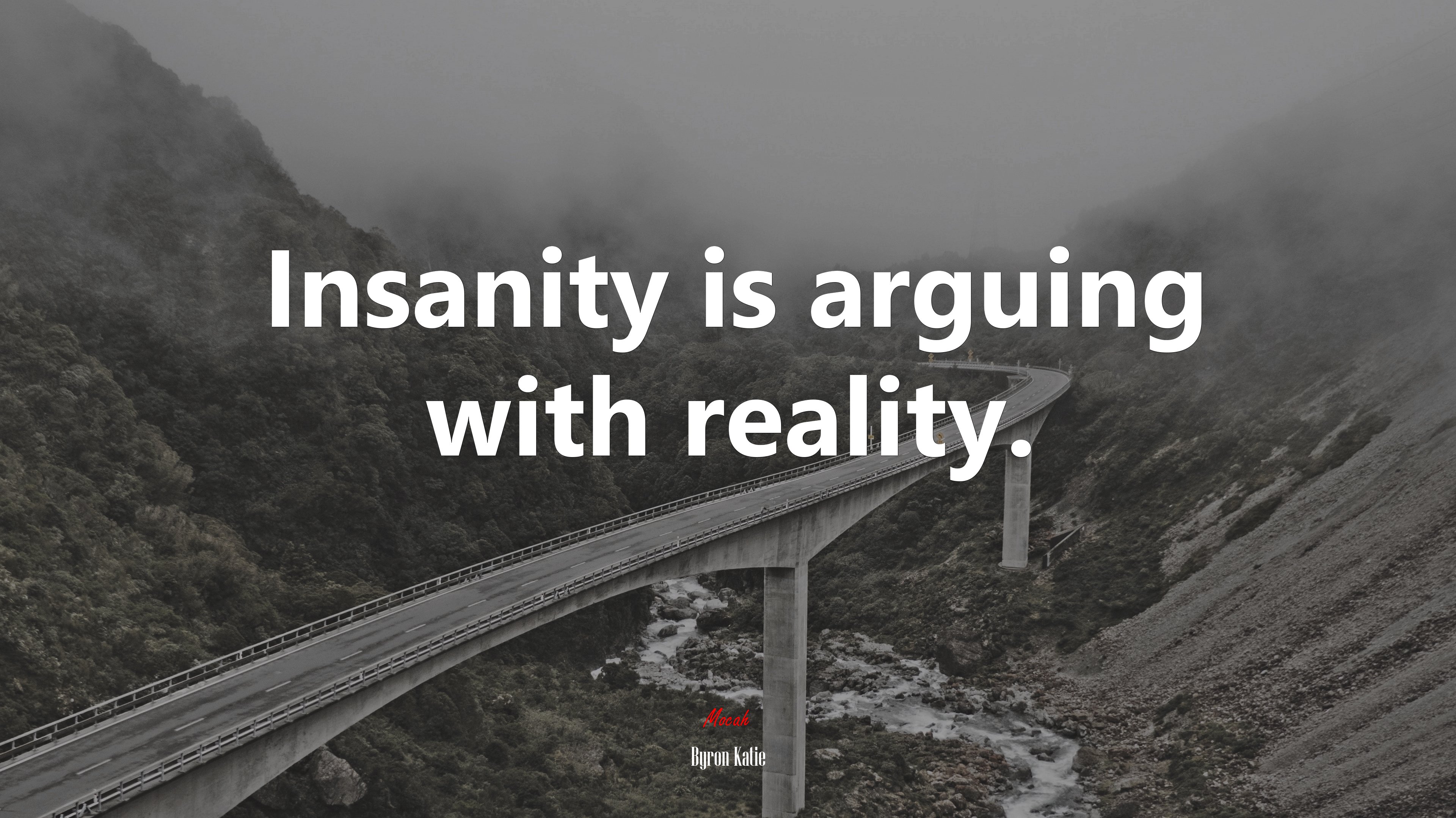 Insanity is arguing with reality. | Byron Katie quote HD Wallpaper