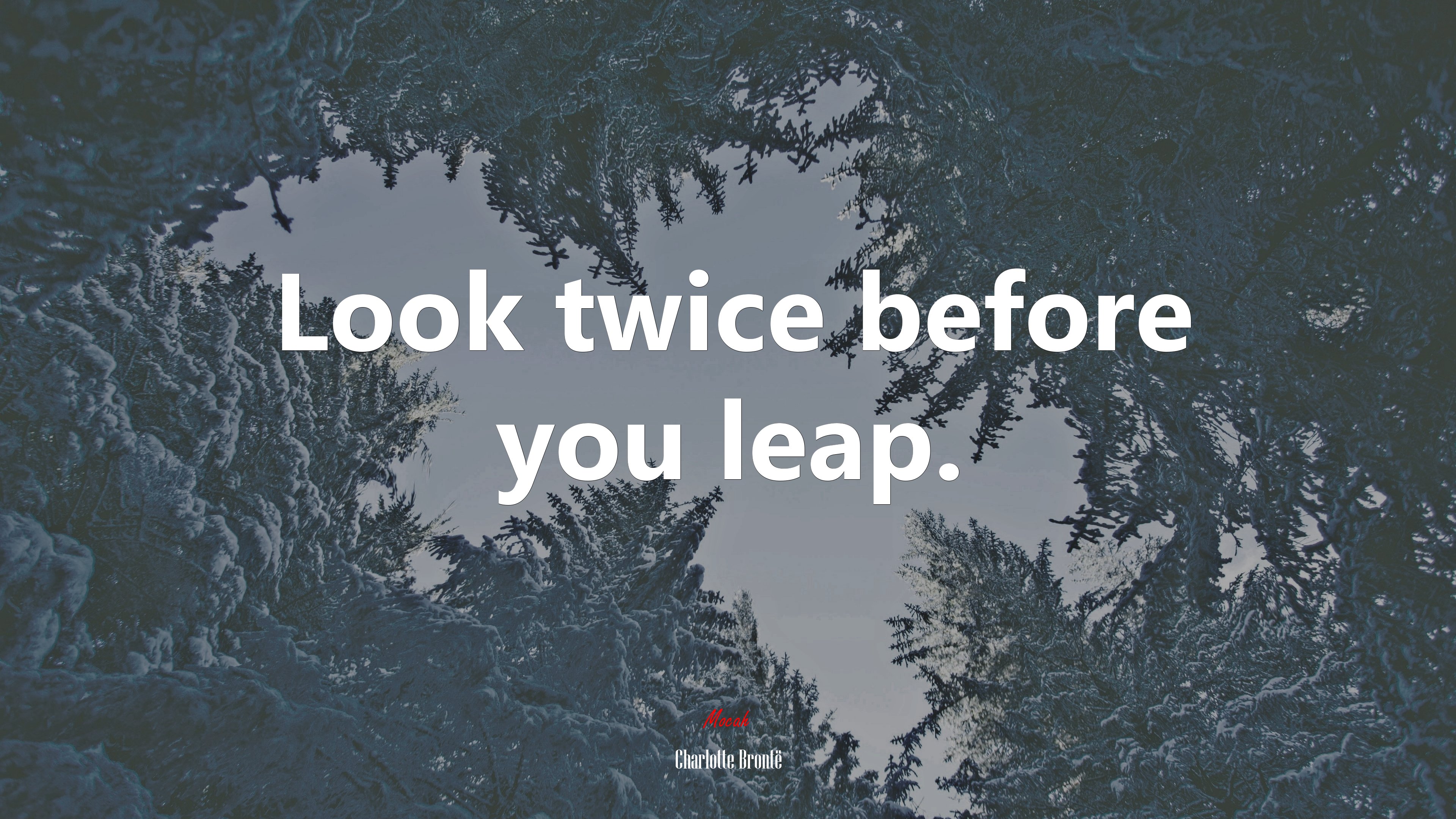 Look twice before you leap. | Charlotte Brontë quote HD Wallpaper
