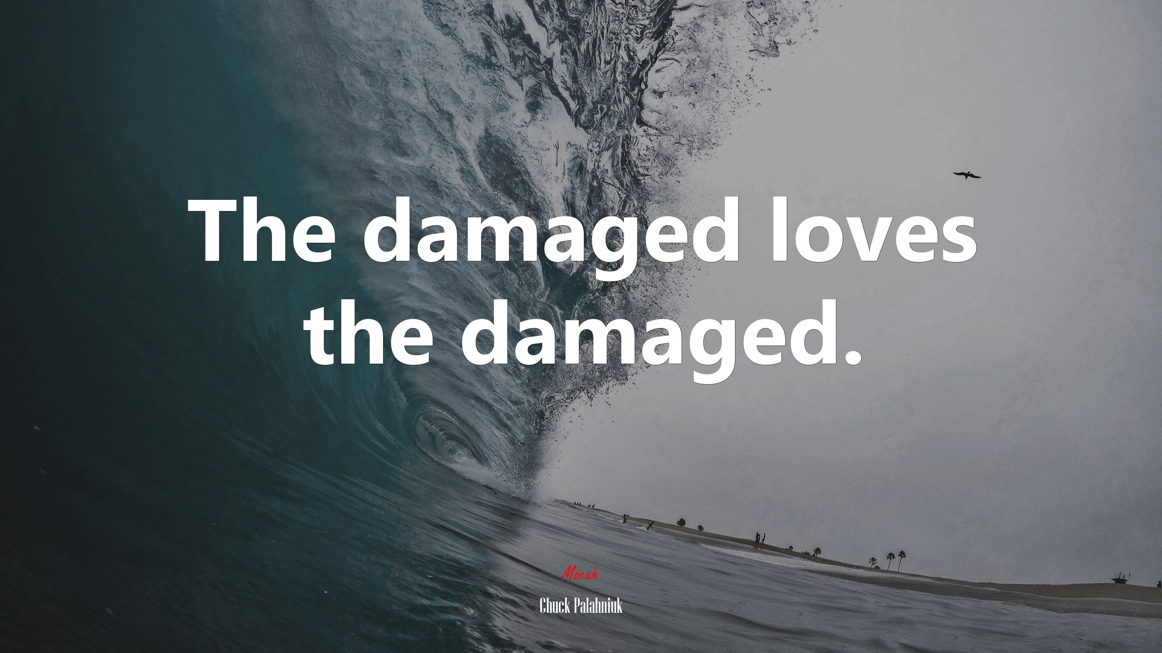 The damaged loves the damaged. | Chuck Palahniuk quote HD Wallpaper