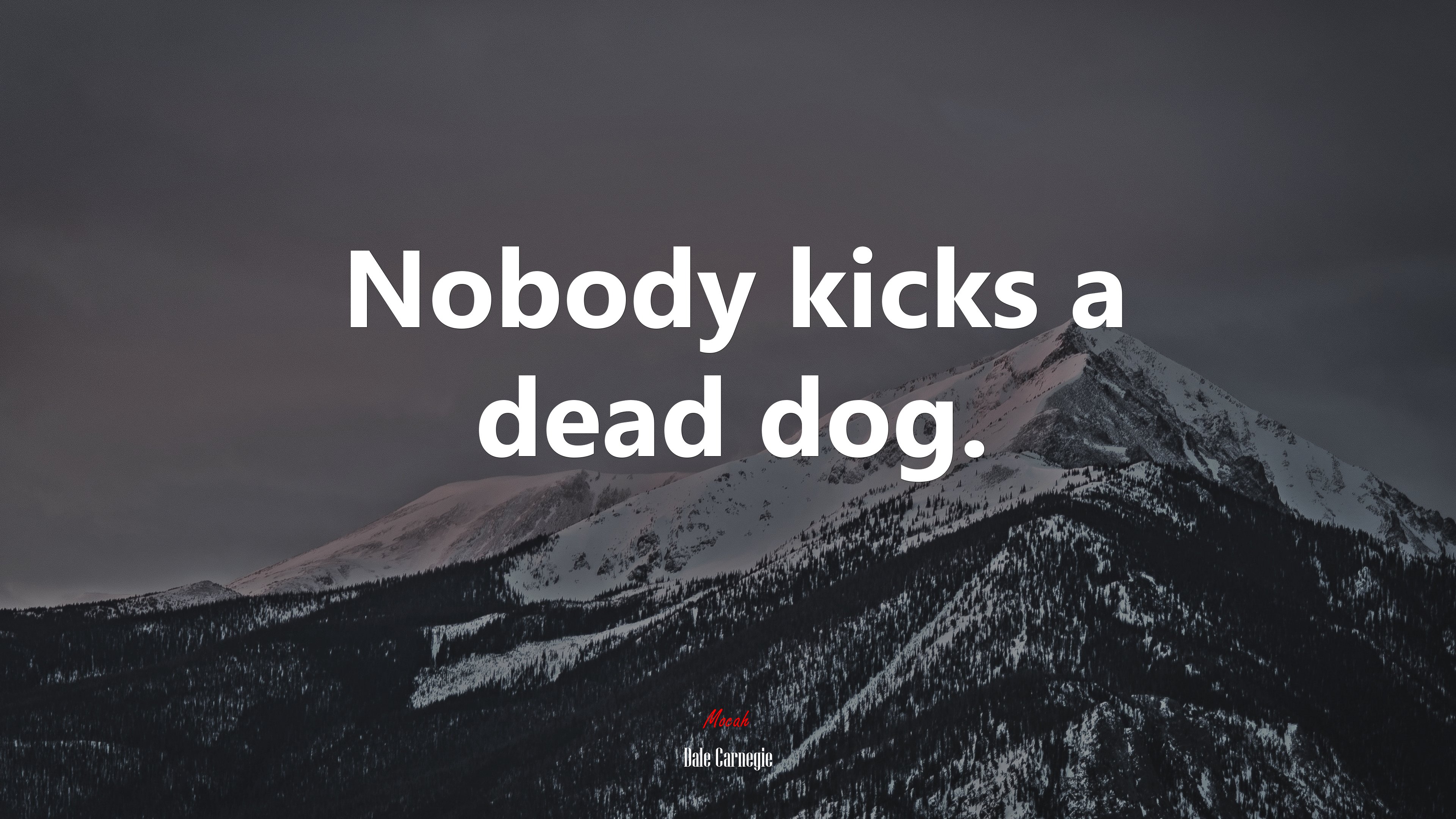 Nobody kicks a dead dog. | Dale Carnegie quote HD Wallpaper