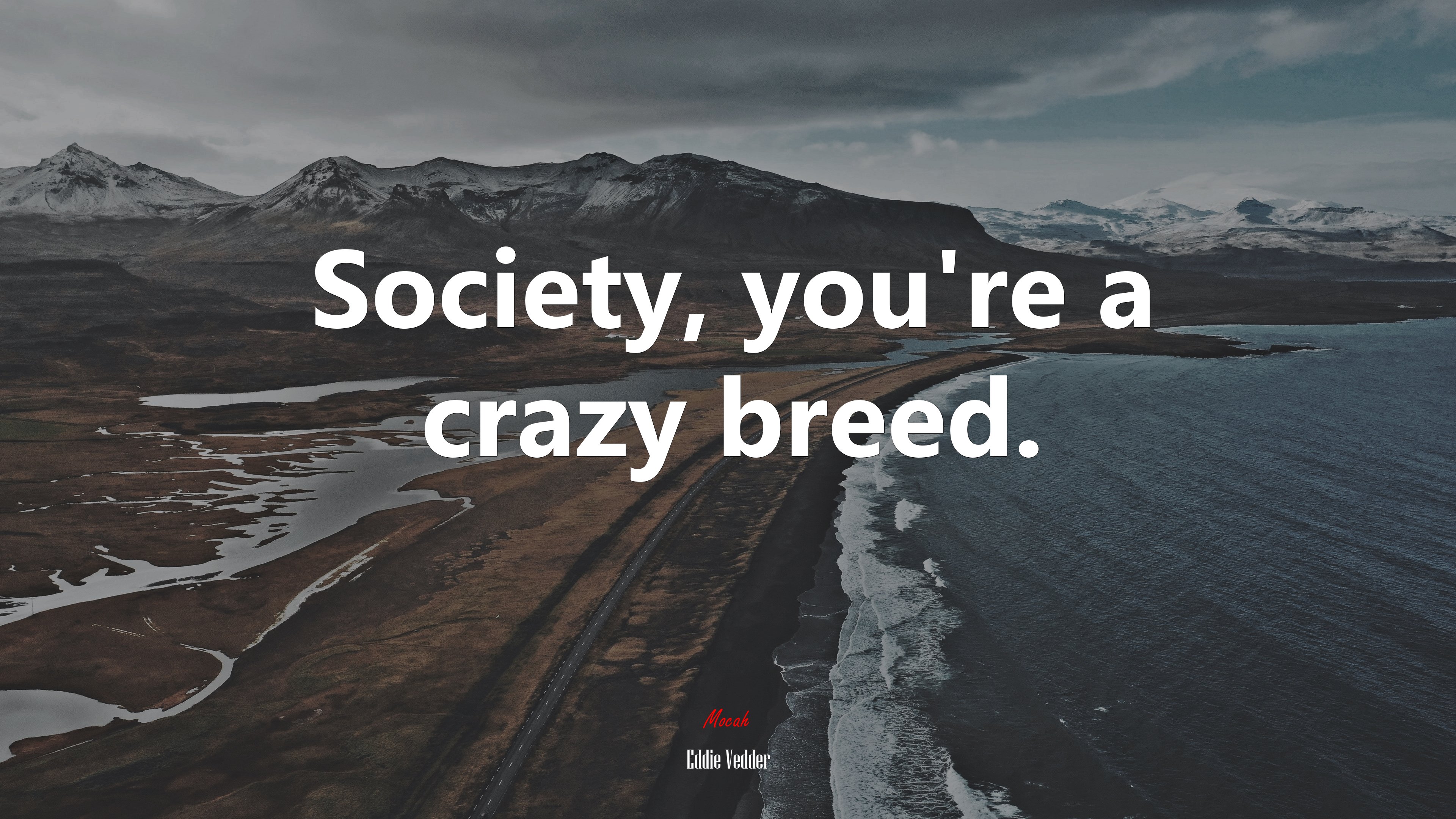 Society, you’re a crazy breed. | Eddie Vedder quote HD Wallpaper