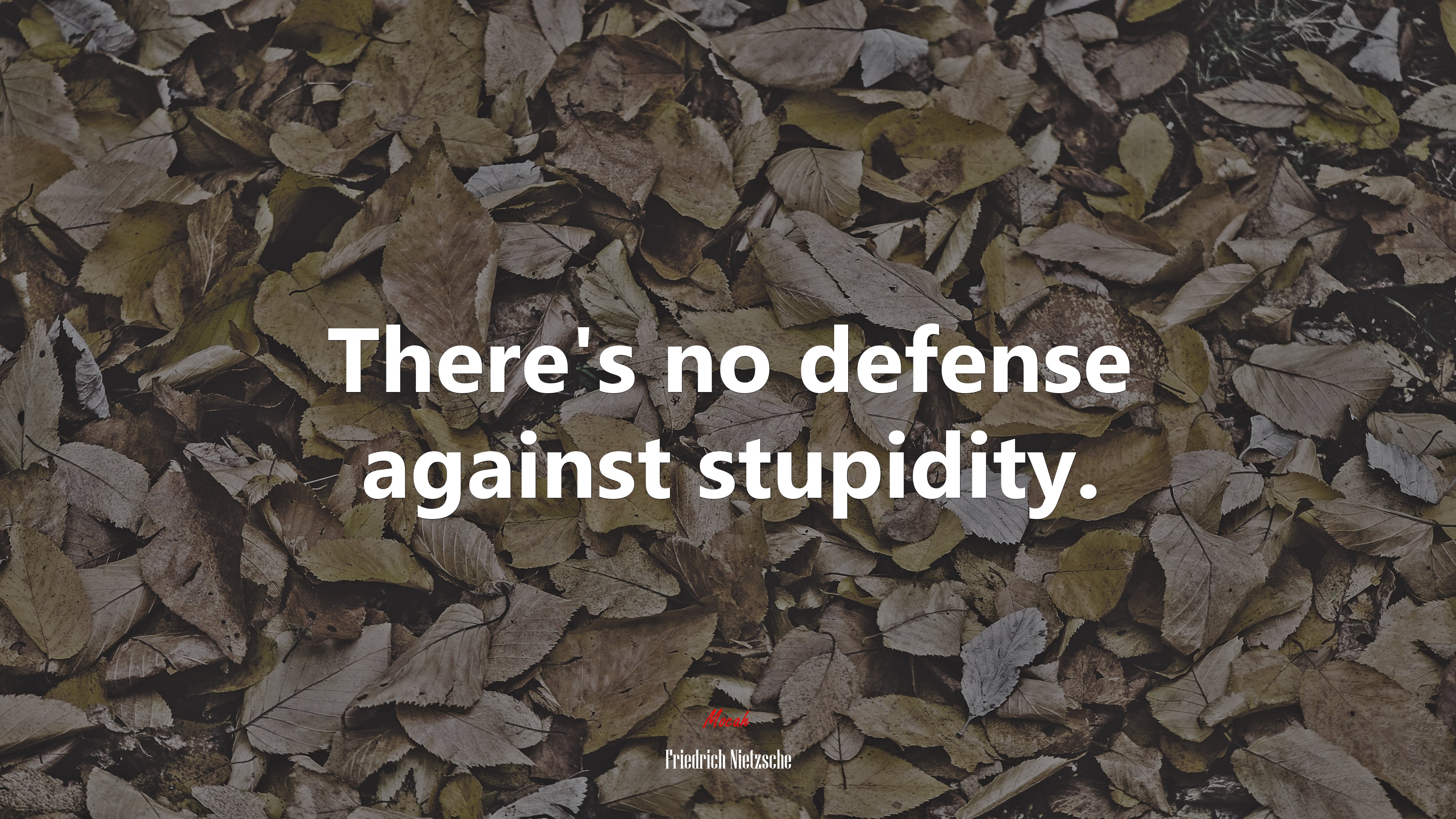 There’s no defense against stupidity. | Friedrich Nietzsche quote HD Wallpaper