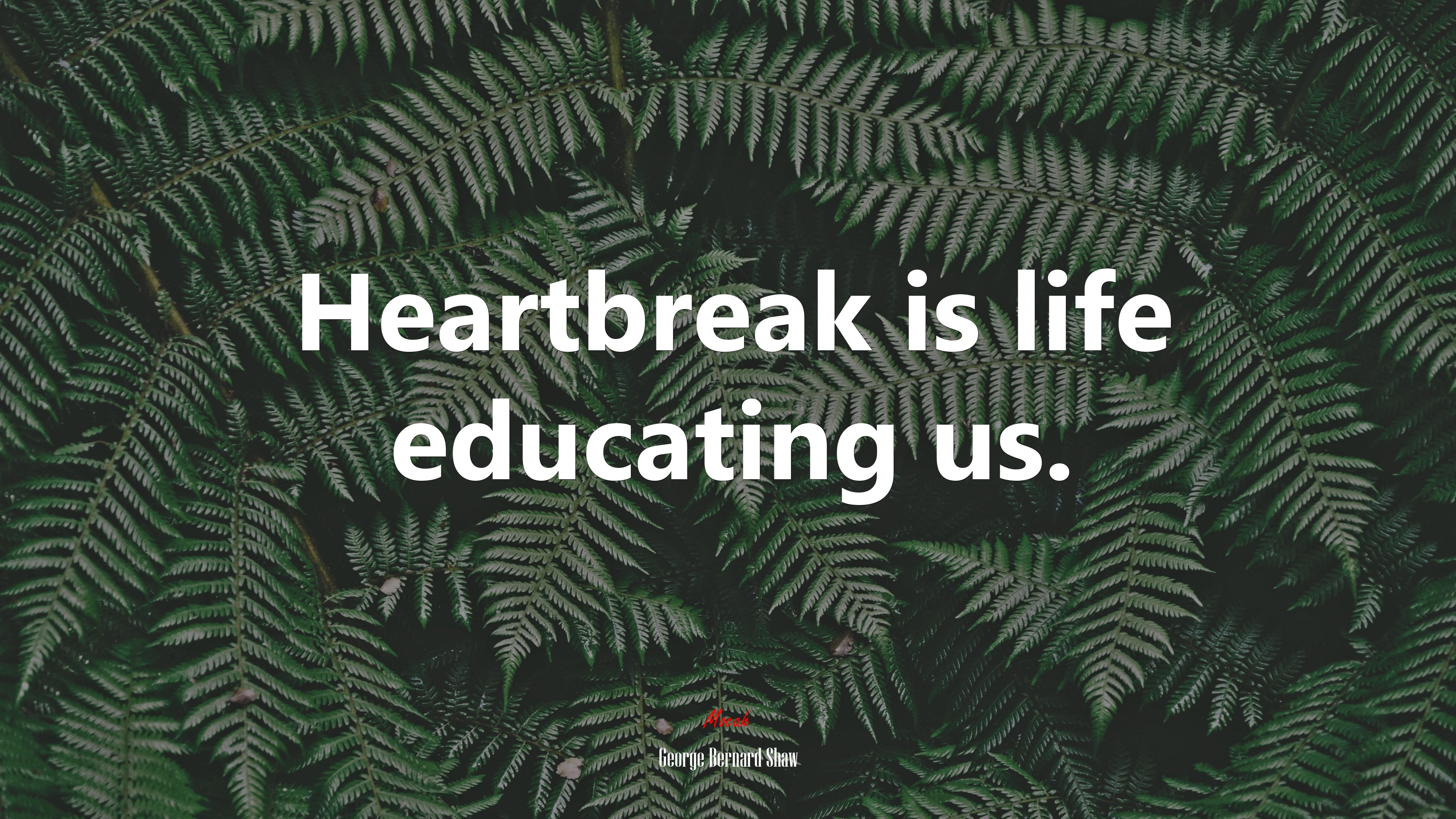 Heartbreak is life educating us. | George Bernard Shaw quote HD Wallpaper