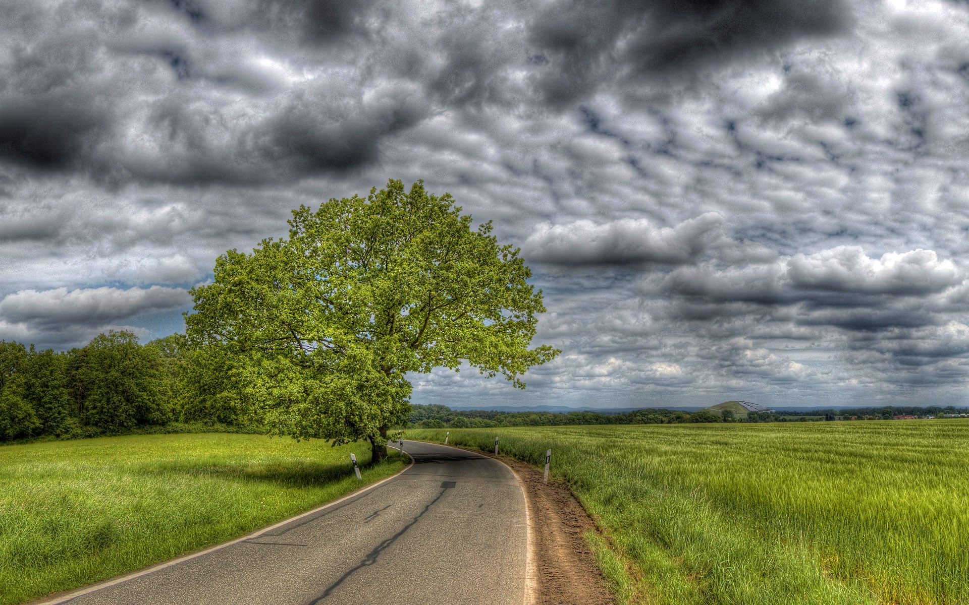 A lone tree on a winding road under a cloudy sky HD Wallpaper