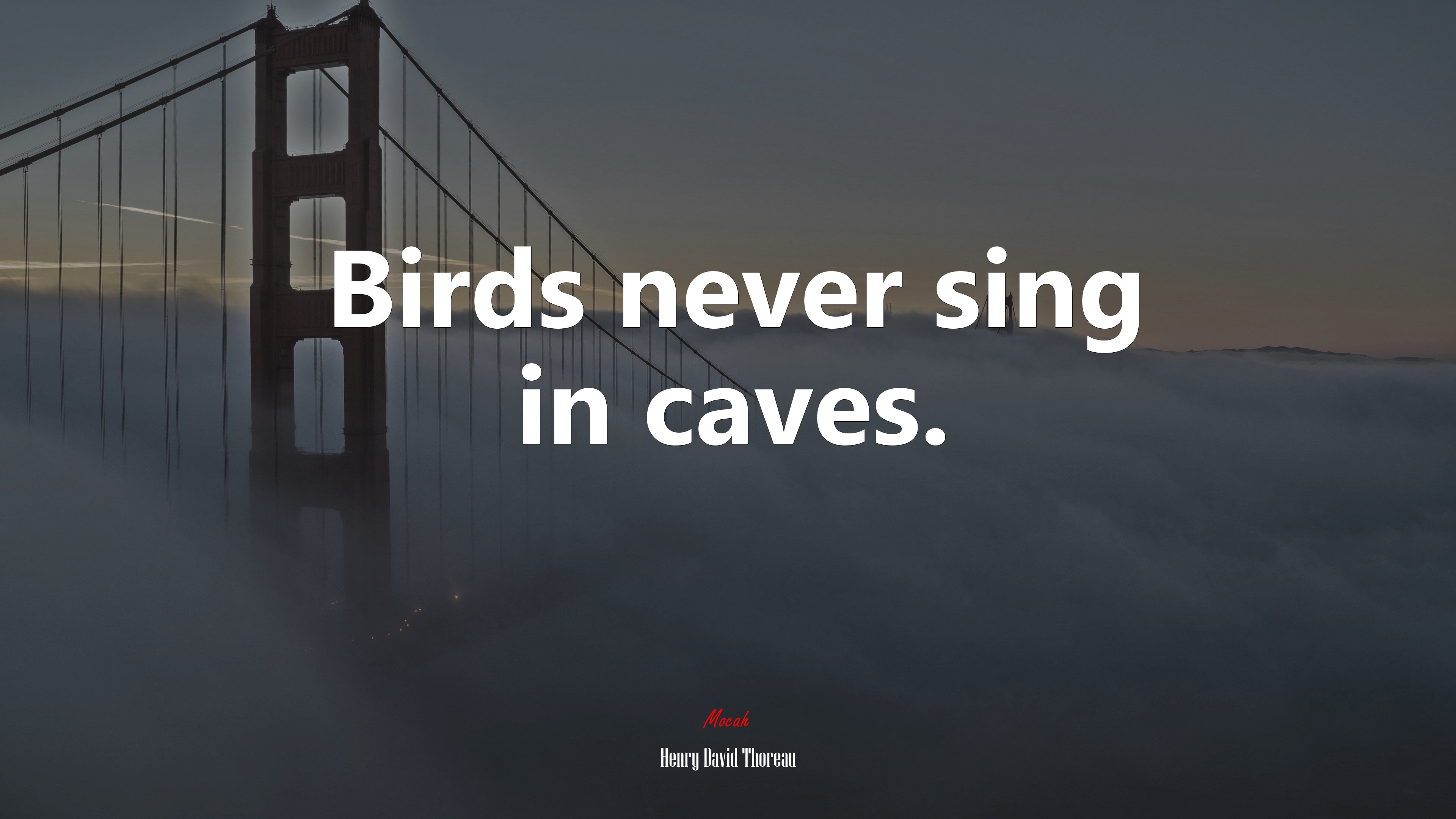 Birds never sing in caves. | Henry David Thoreau quote HD Wallpaper