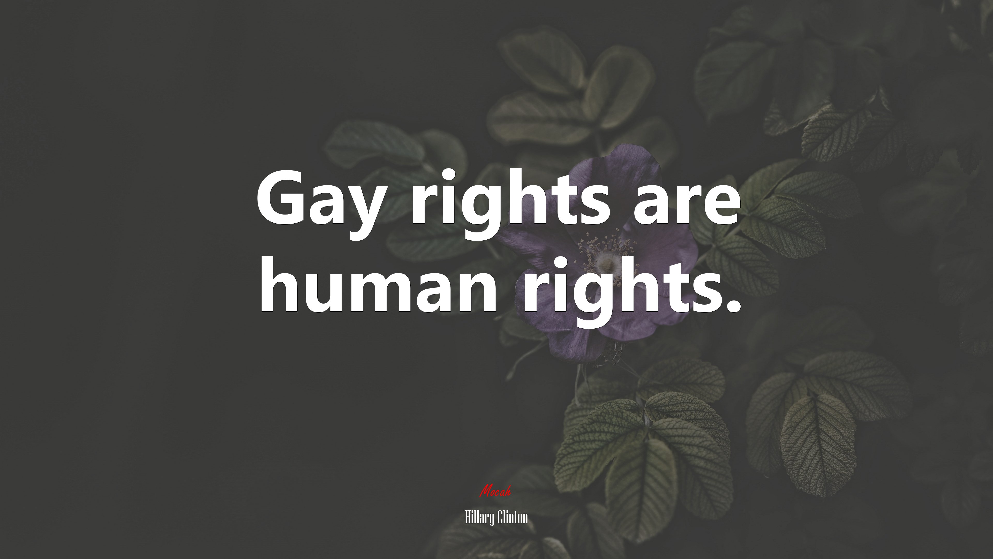 Gay rights are human rights. | Hillary Clinton quote HD Wallpaper