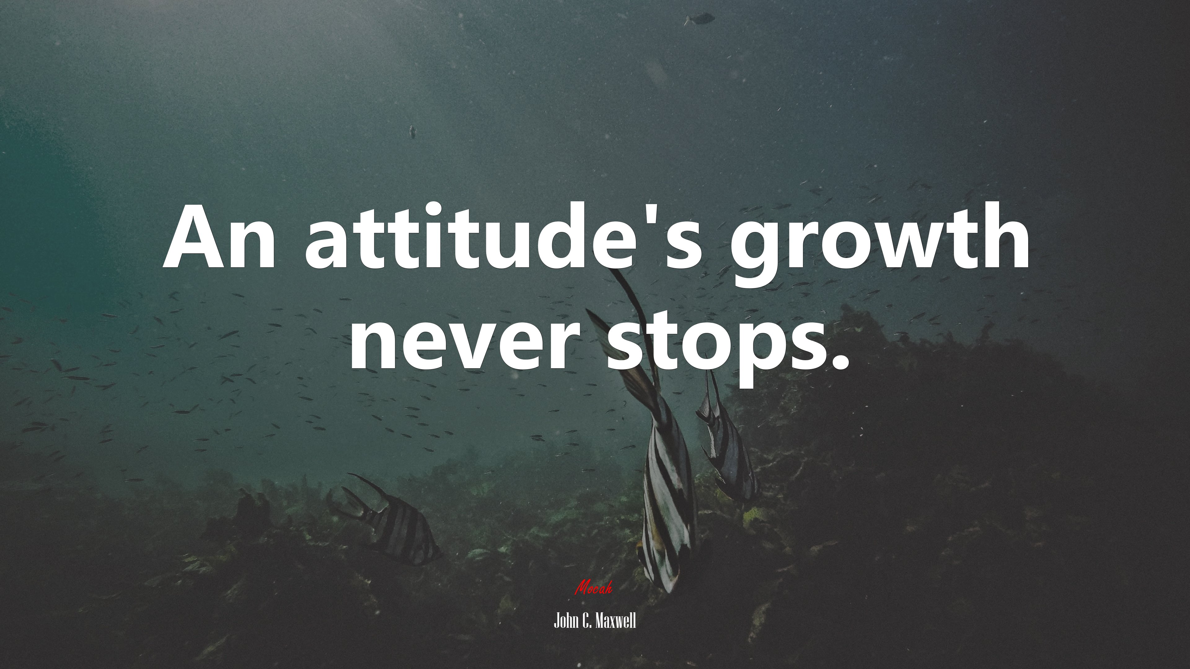 An attitude’s growth never stops. | John C. Maxwell quote HD Wallpaper
