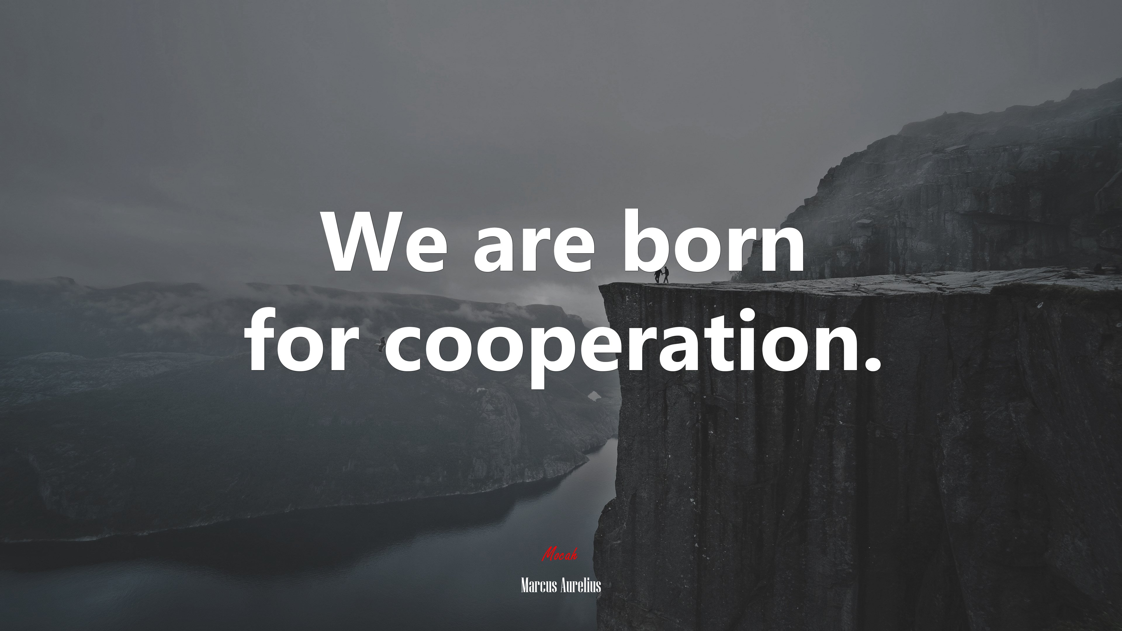We are born for cooperation. | Marcus Aurelius quote HD Wallpaper