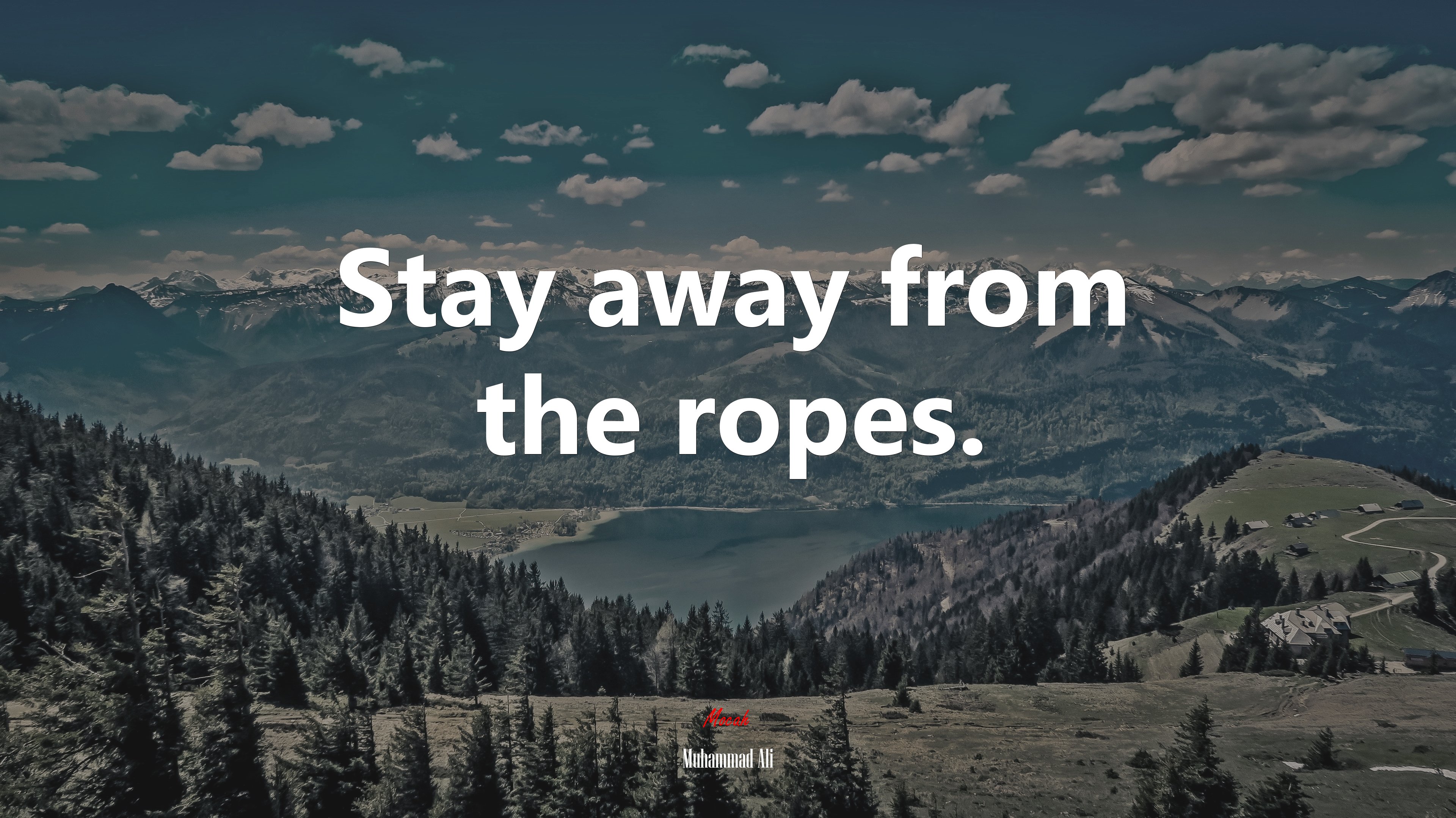 Stay away from the ropes. | Muhammad Ali quote HD Wallpaper
