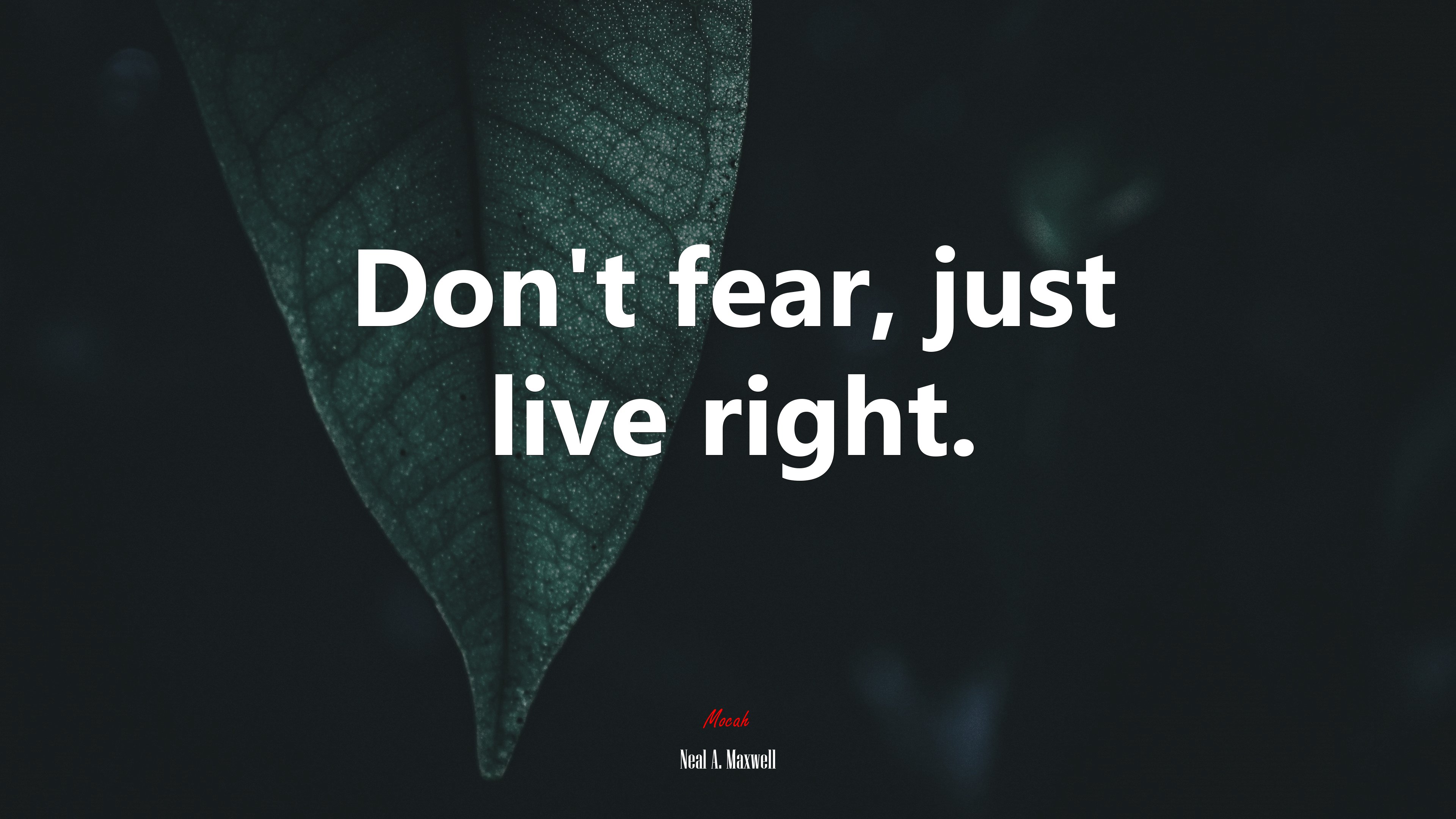 Don’t fear, just live right. | Neal A. Maxwell quote HD Wallpaper