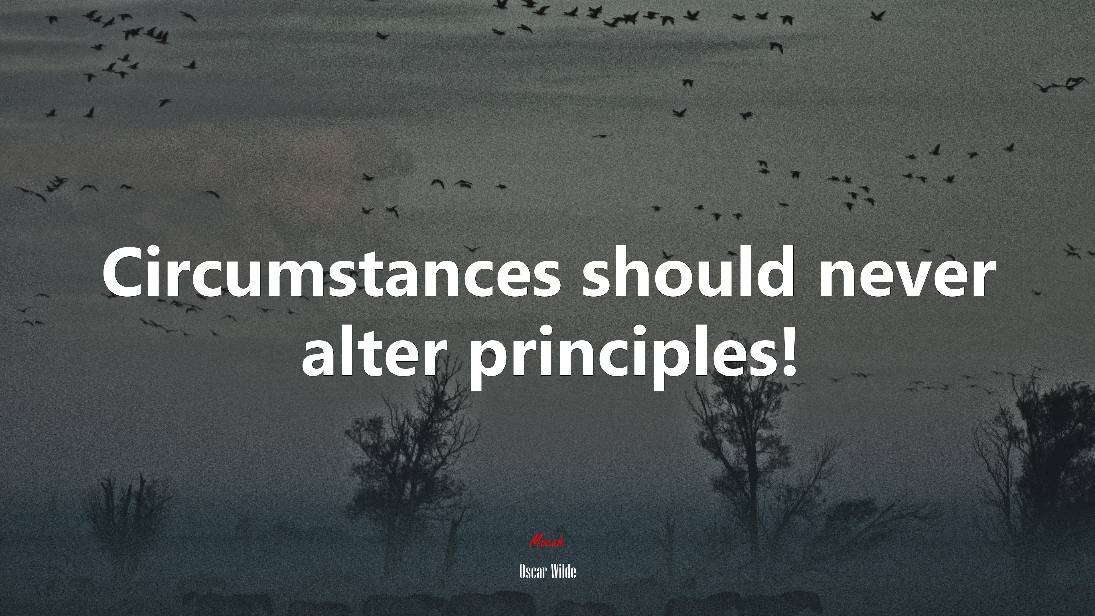 Circumstances should never alter principles! | Oscar Wilde quote HD Wallpaper