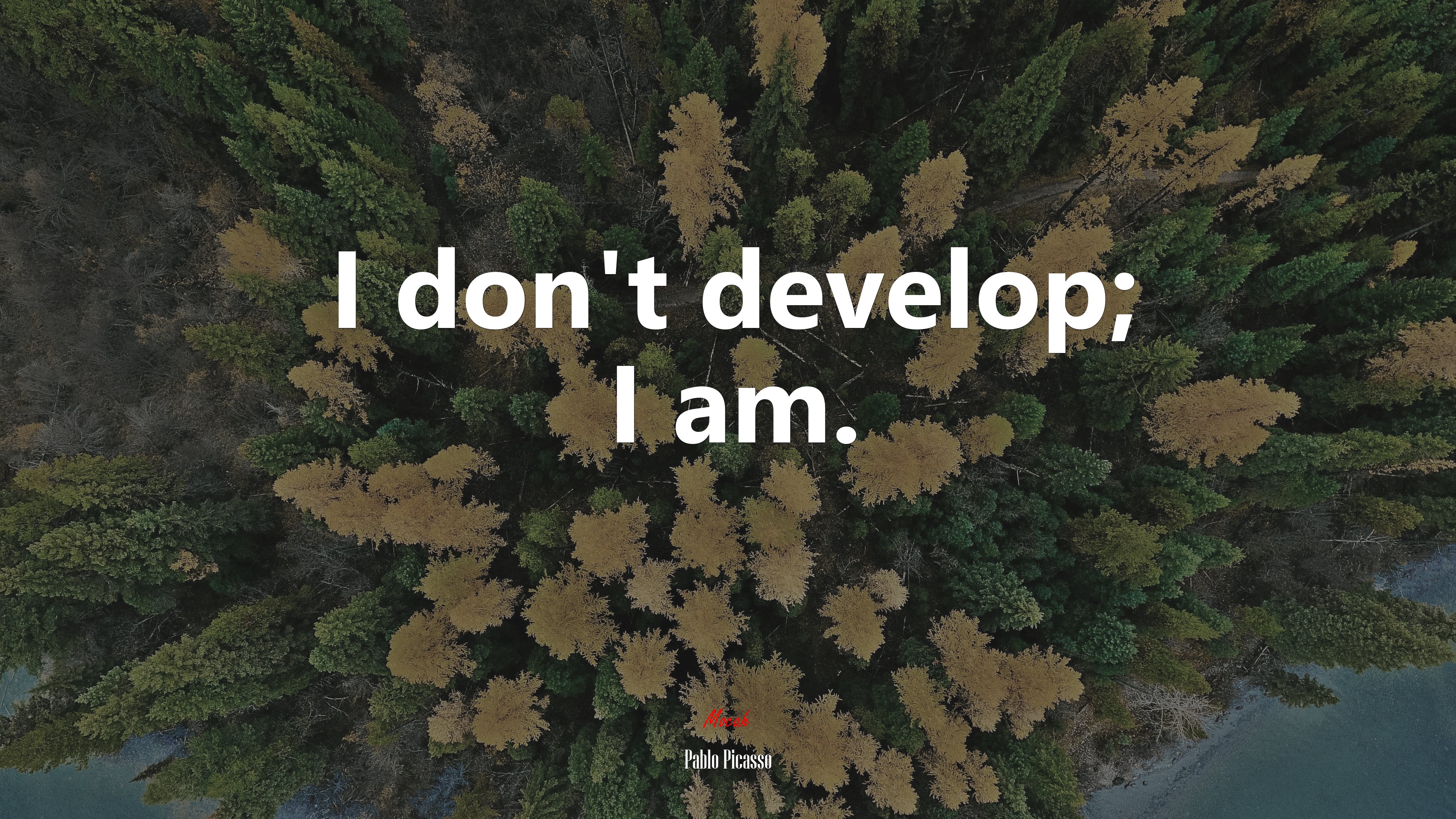 I don’t develop; I am. | Pablo Picasso quote HD Wallpaper