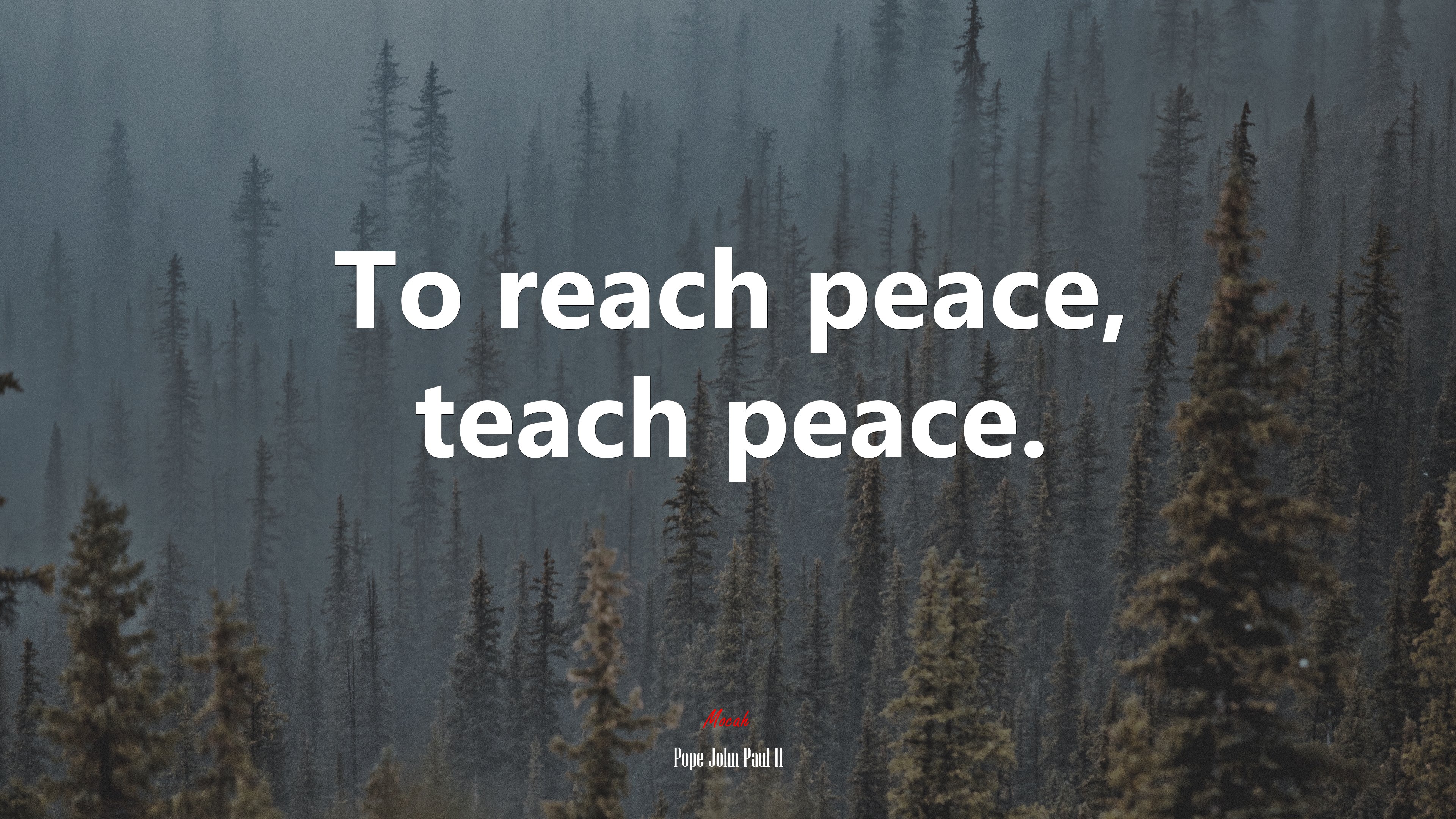 To reach peace, teach peace. | Pope John Paul II quote HD Wallpaper