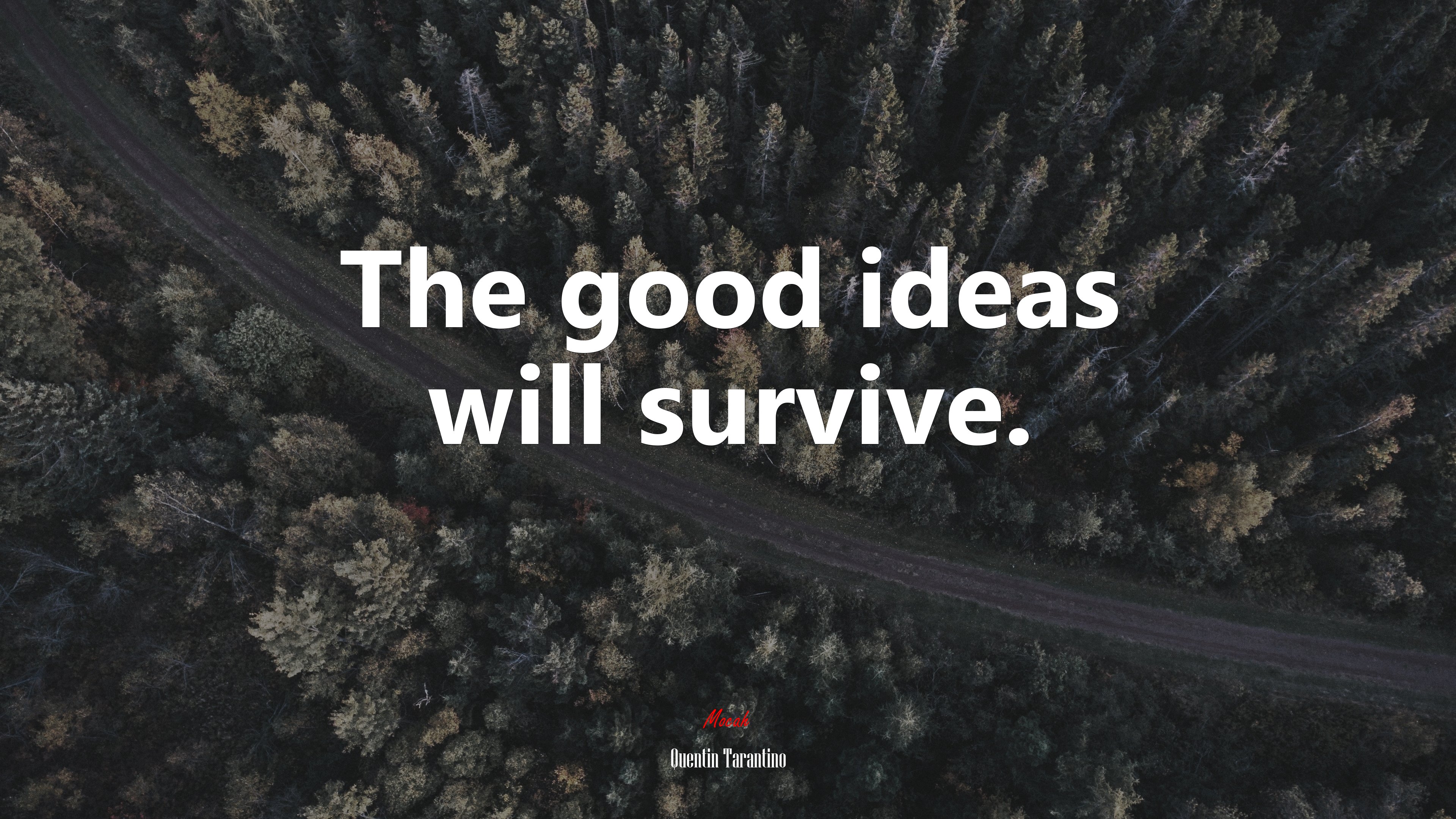 The good ideas will survive. | Quentin Tarantino quote HD Wallpaper